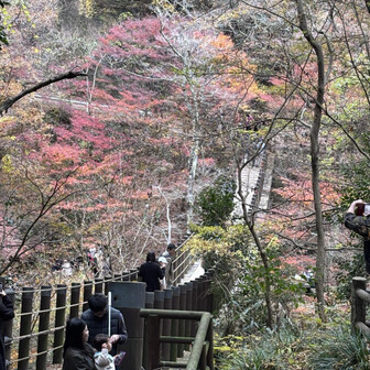 シャッターチャンスを狙って橋の手前にはすごい人がいたんだけど、オバちゃんだから構わずにズンズン進みます👉😁