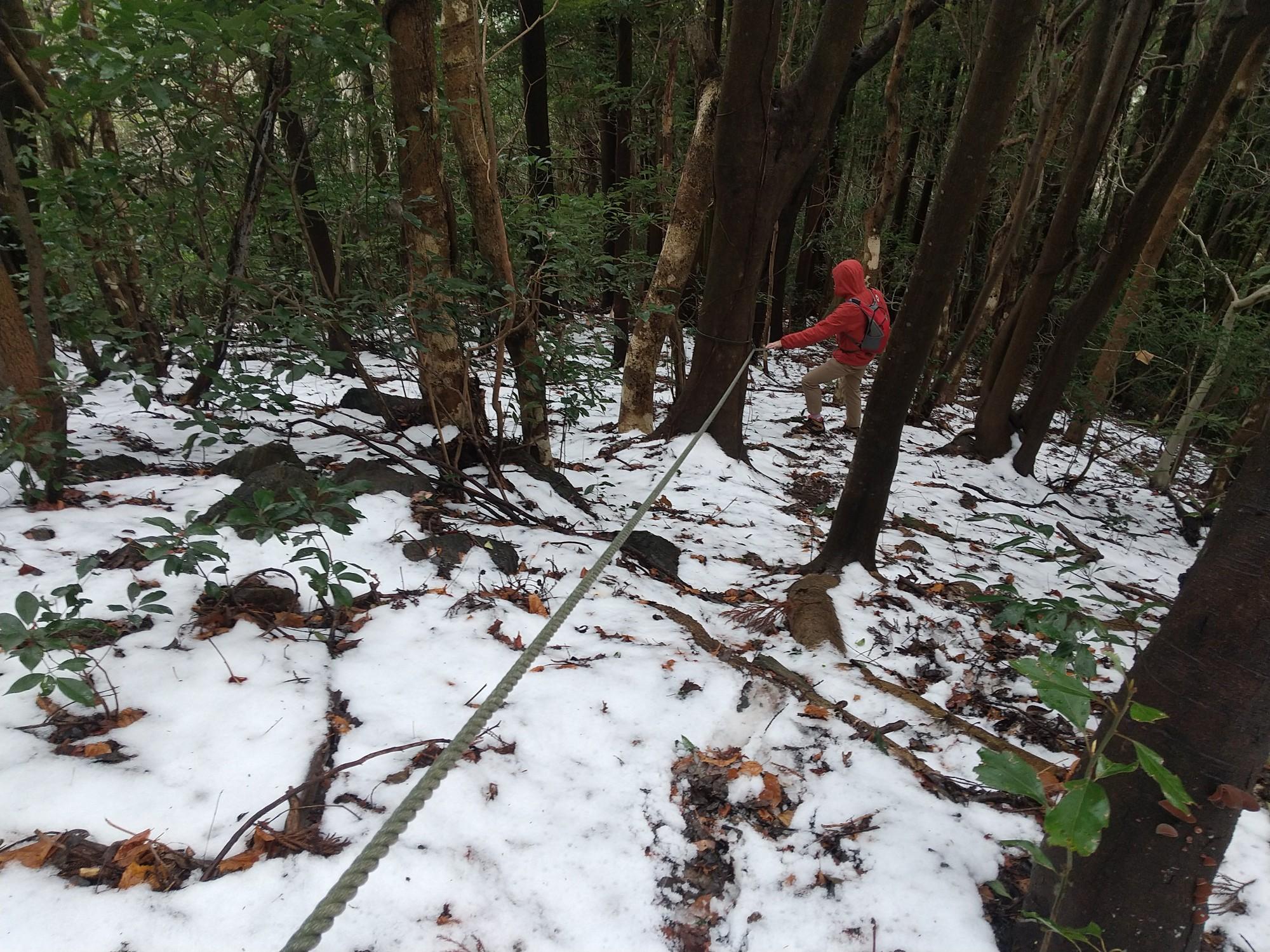 大道山は おおどうやま Mipotさんの韮草山の活動データ Yamap ヤマップ