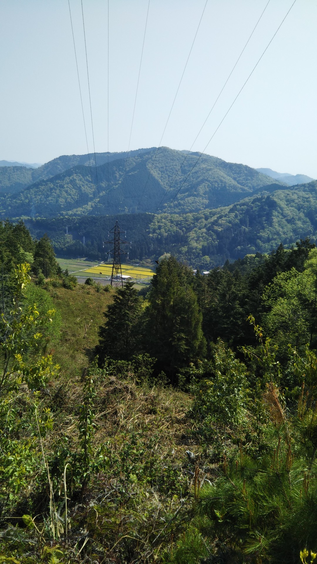 城ヶ峰 / inojunさんの大谷山・滝谷山・城ヶ峰の活動日記 | YAMAP / ヤマップ