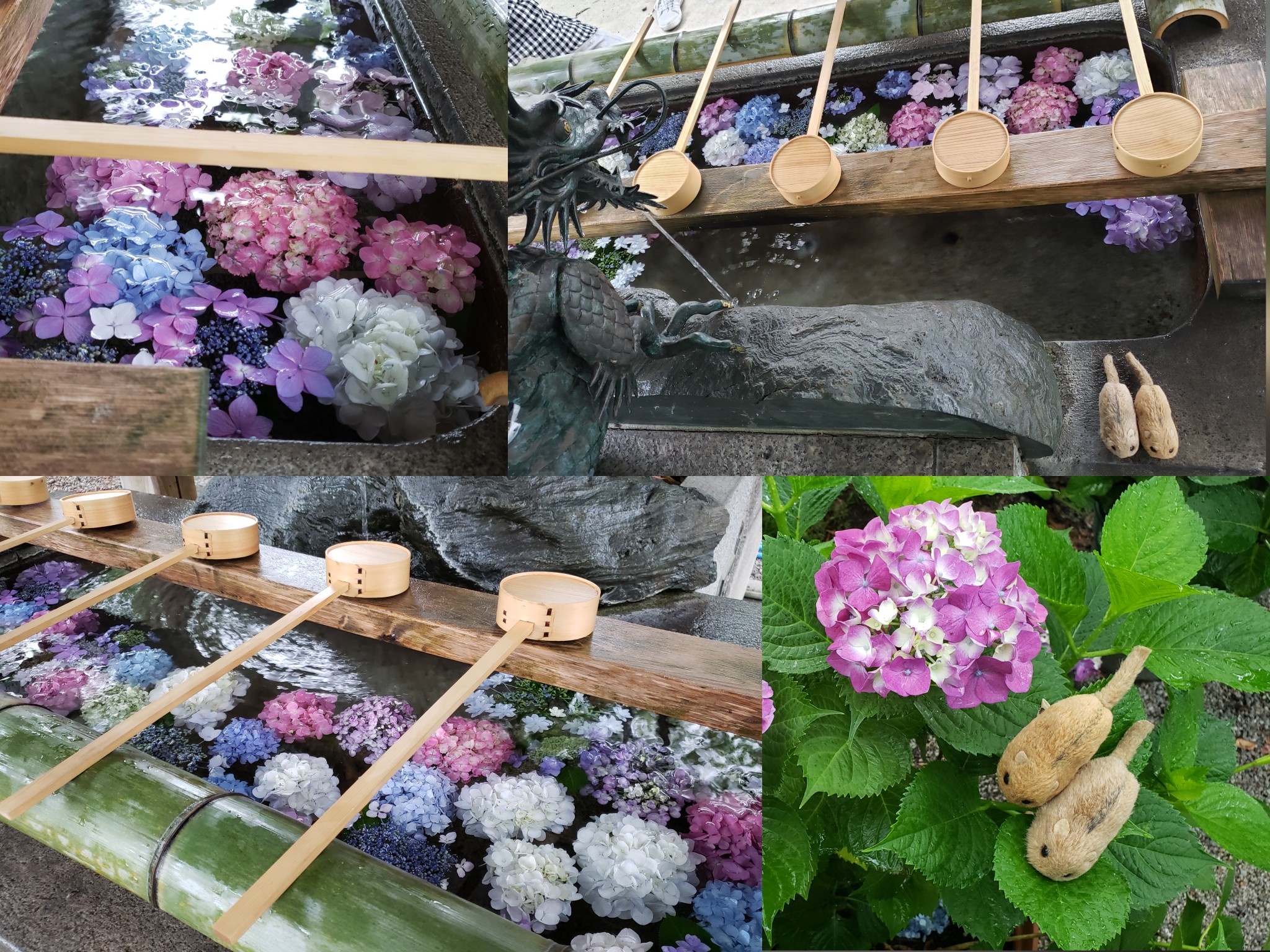 御裳 みも 神社 の花手水 19 06 08 うりやまさんの岐阜市の活動データ Yamap ヤマップ