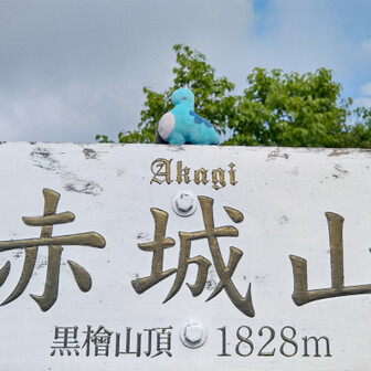 あおいかいじゅう