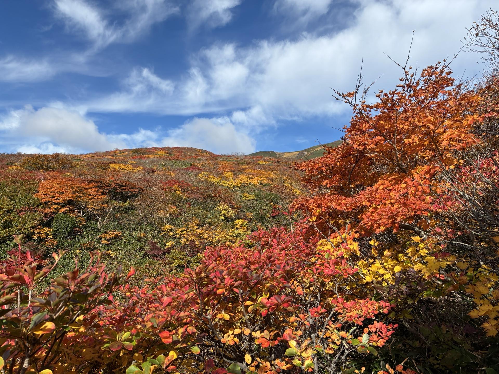 東栗駒山-栗駒山 縦走コースの地図・登山ルート・登山口情報 | Y…