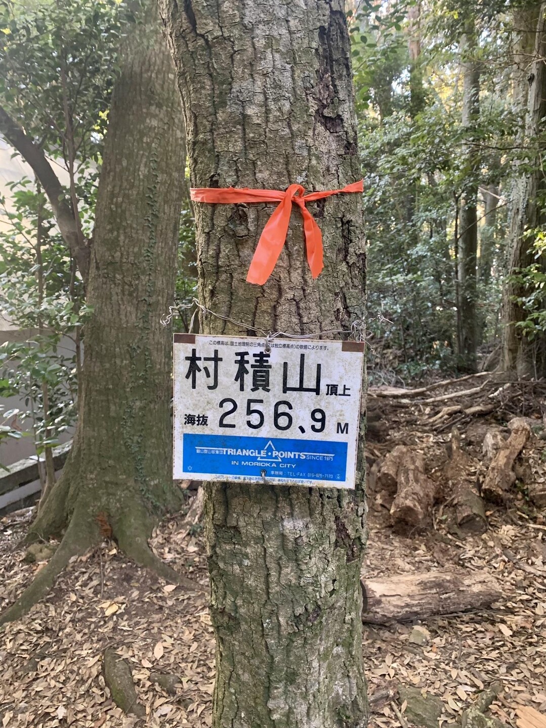 村積山（愛知県 202312） / のっくれっくさんの村積山の活動データ YAMAP / ヤマップ