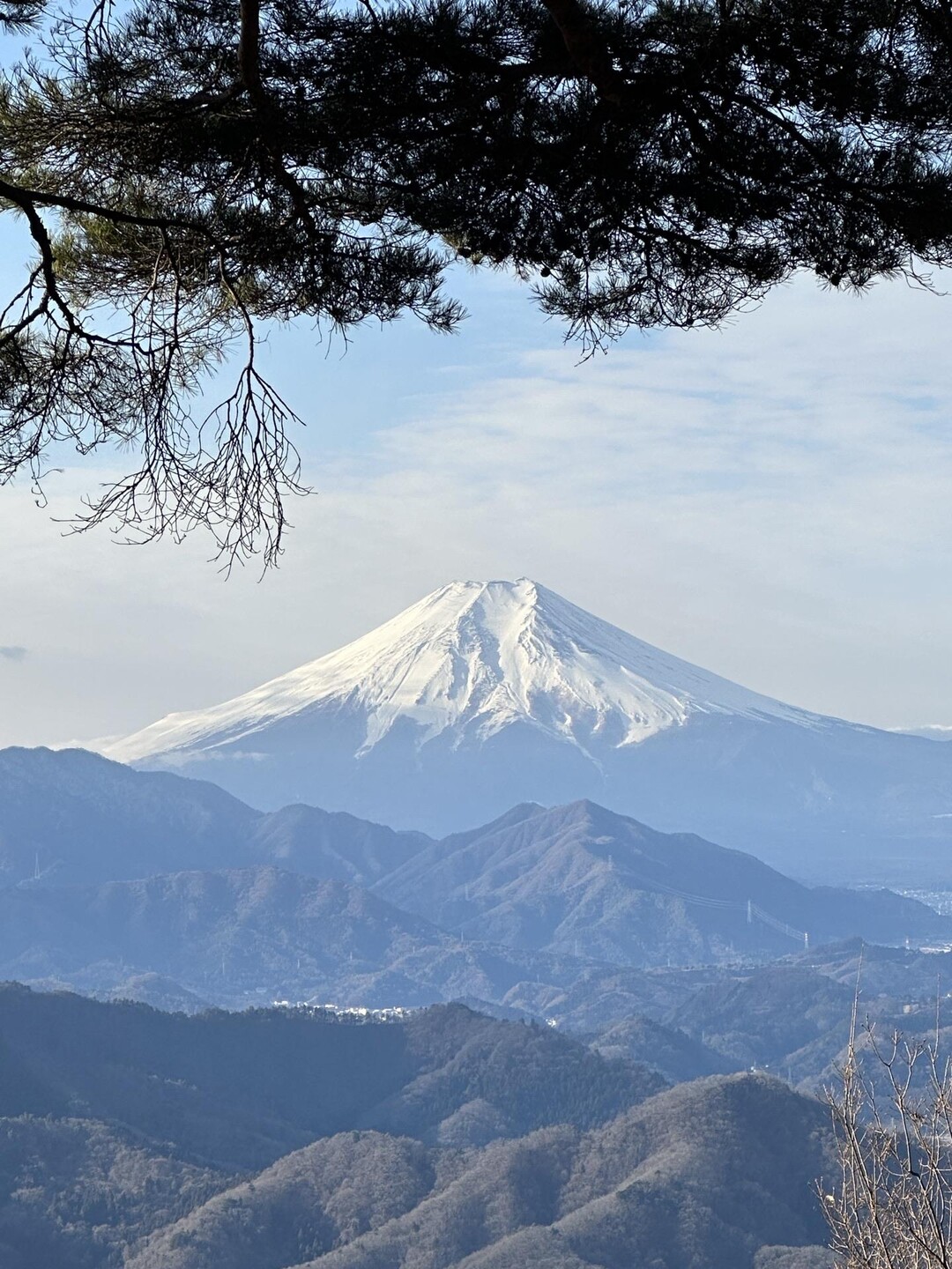 百蔵山から扇山縦走 / 小野マトペさんの百蔵山・扇山・権現山の活動データ | YAMAP / ヤマップ