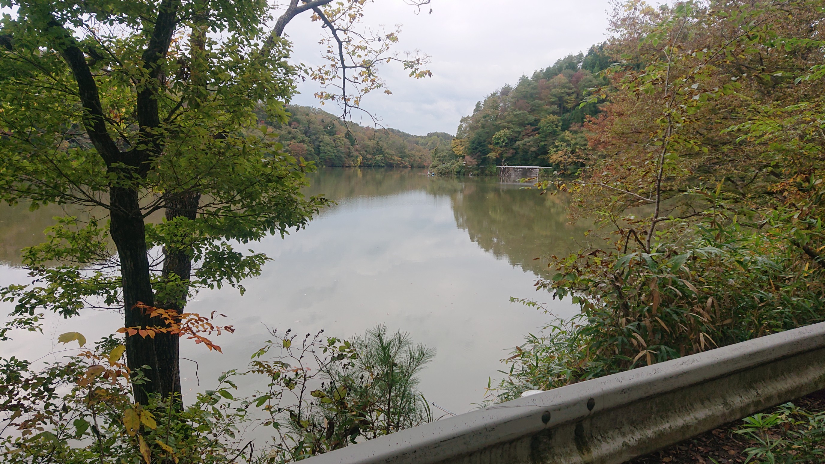 月山池 サイカチ沼 19 10 27 すずきちさんの白沢五山 五ツ森 の活動データ Yamap ヤマップ