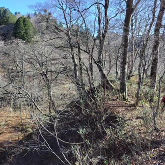 左門岳 大平を見下ろせる場所に出ました。