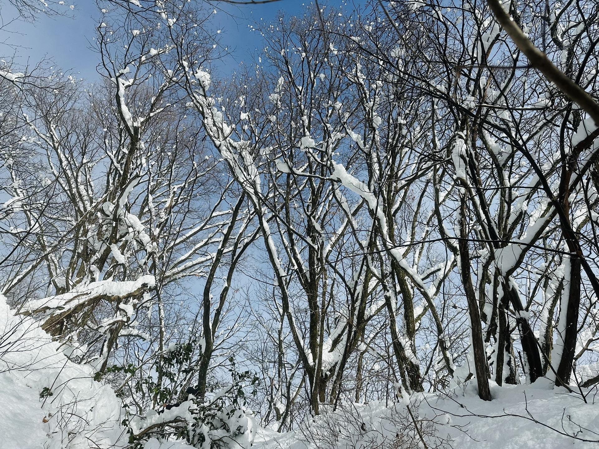 医王山・白兀山・箱屋谷山 青空見えてきたー