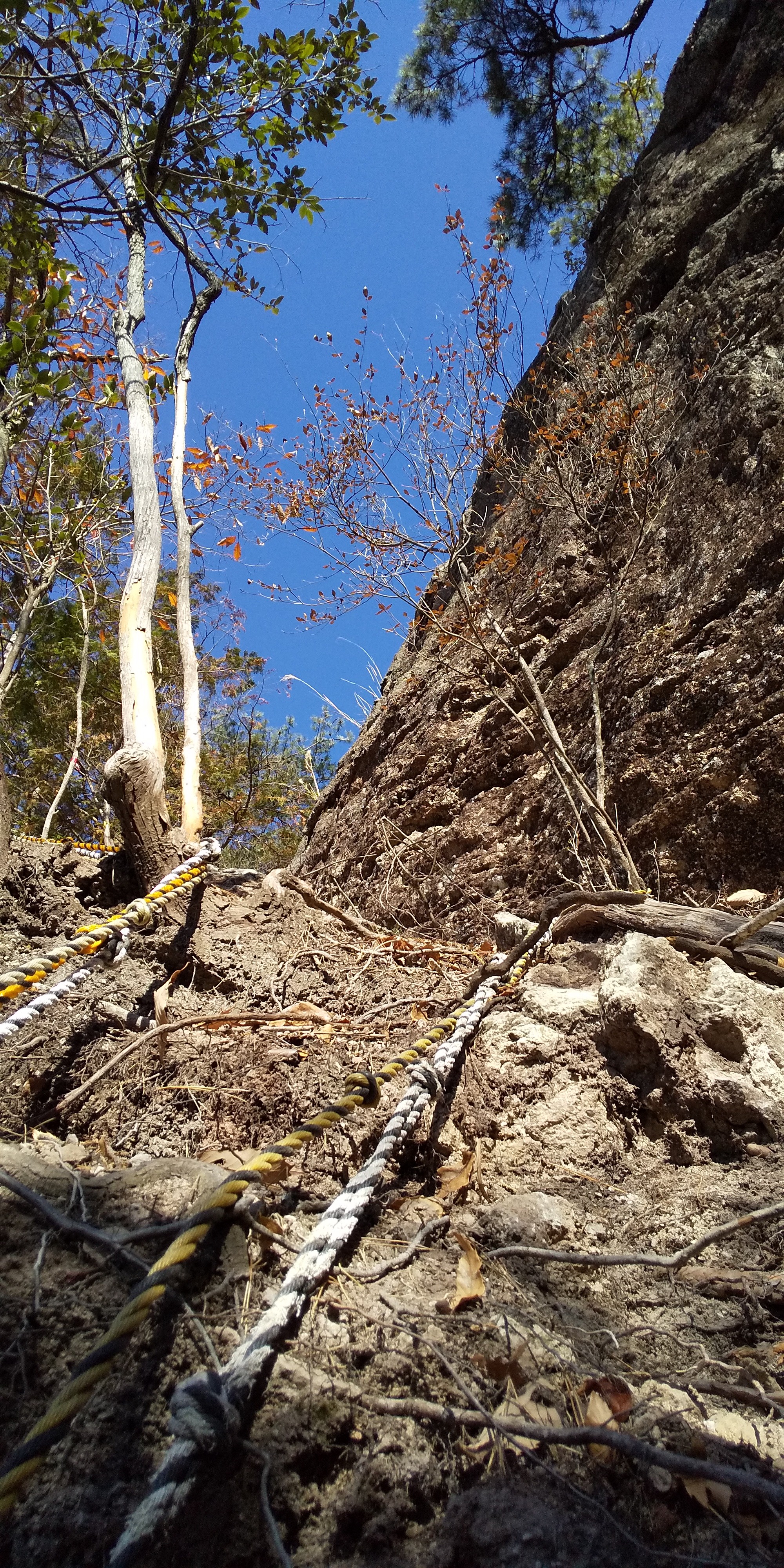 西の小明神 明神山 大熊の頭 西の丸 ワイちゃんさんの明神山 兵庫県 太郎岳の活動データ Yamap ヤマップ