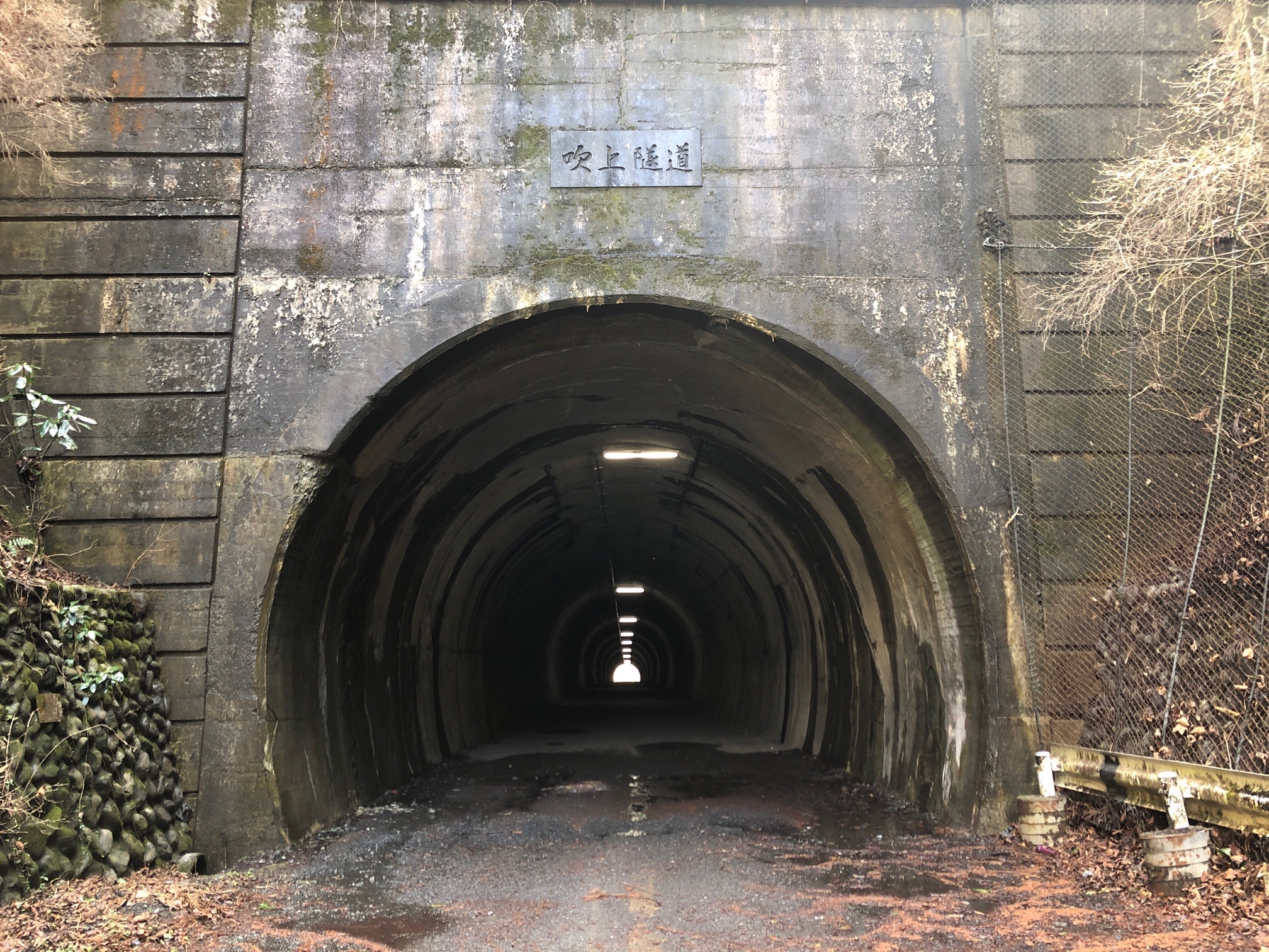 旧吹上トンネルから青梅中央アルプス裏銀座西半分 Tatmushiさんの高水山 岩茸石山 惣岳山の活動データ Yamap ヤマップ