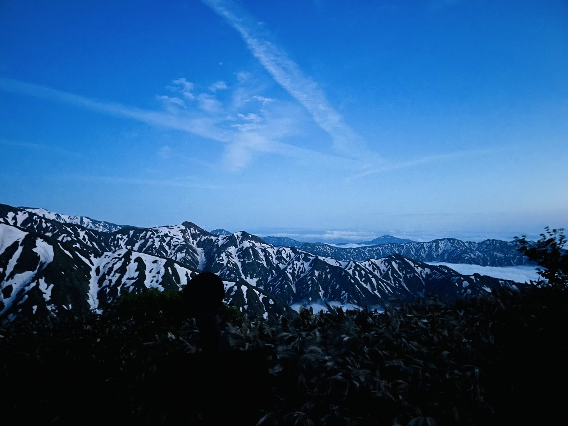 お花摘んで寝ましょうね。
このあと「ドスッドスッドスッドスッ」という足音がした。
それがやわしょうさんのものだったと下山後知る。