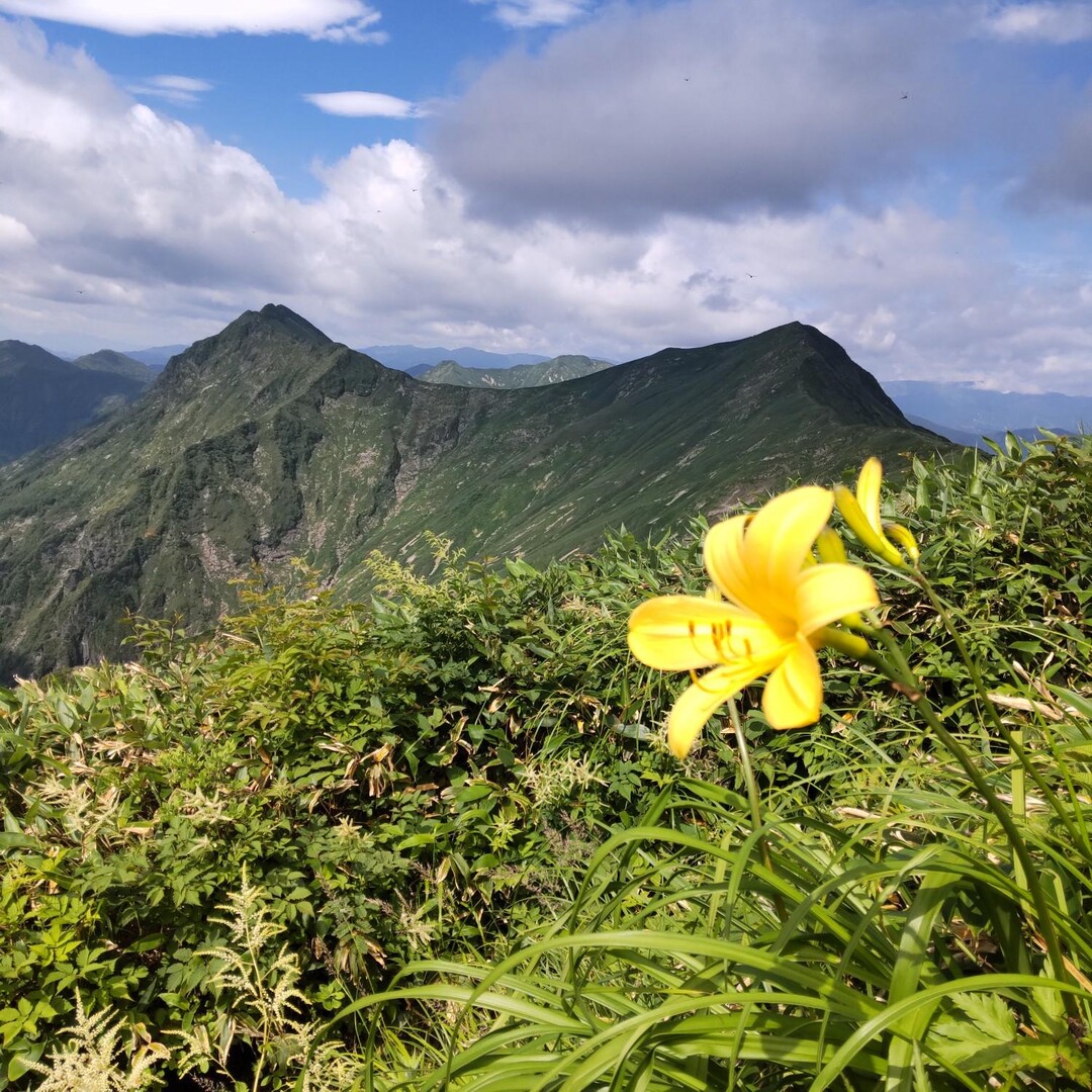 谷川岳（トマの耳・オキの耳） / OSAMUさんの谷川岳・七ツ小屋山・大源太山の活動データ | YAMAP / ヤマップ