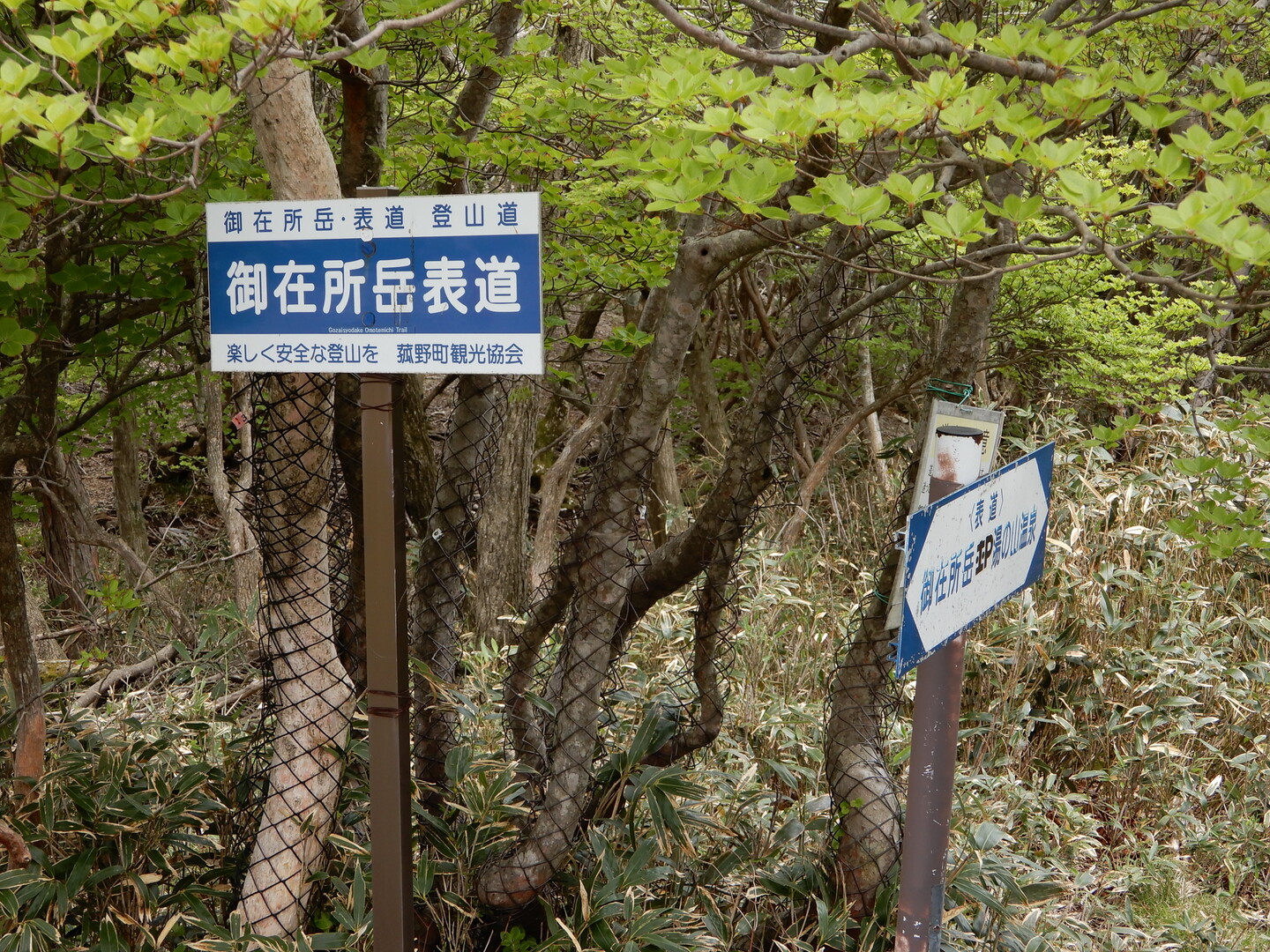 御在所 御在所 よっちーさんの御在所岳 御在所山 雨乞岳の活動日記 Yamap ヤマップ