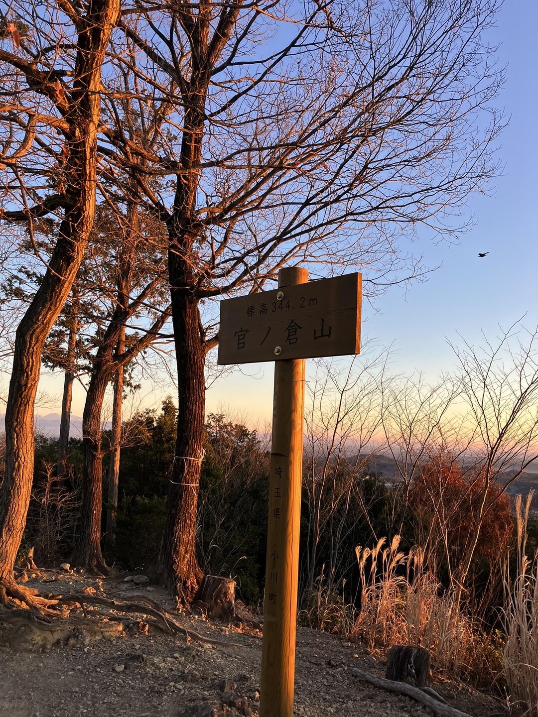 石尊山・官ノ倉山・物見山・笠山（西峰）・堂平山・剣ヶ峰・川木沢ノ頭・大霧山・愛宕山・皇鈴山・登谷山 / SSさんの官ノ倉山の活動データ ...