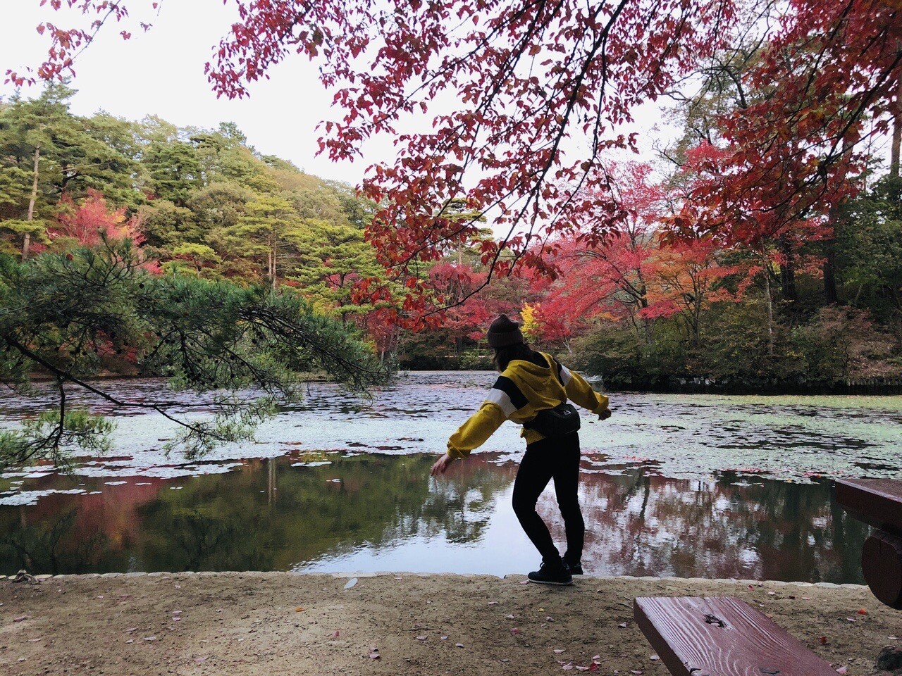 再び再度公園 神戸市立森林植物園 ライトアップ 六甲山 長峰山 摩耶山の写真30枚目 森林植物園の池 こうやってはしゃぐところ Yamap ヤマップ