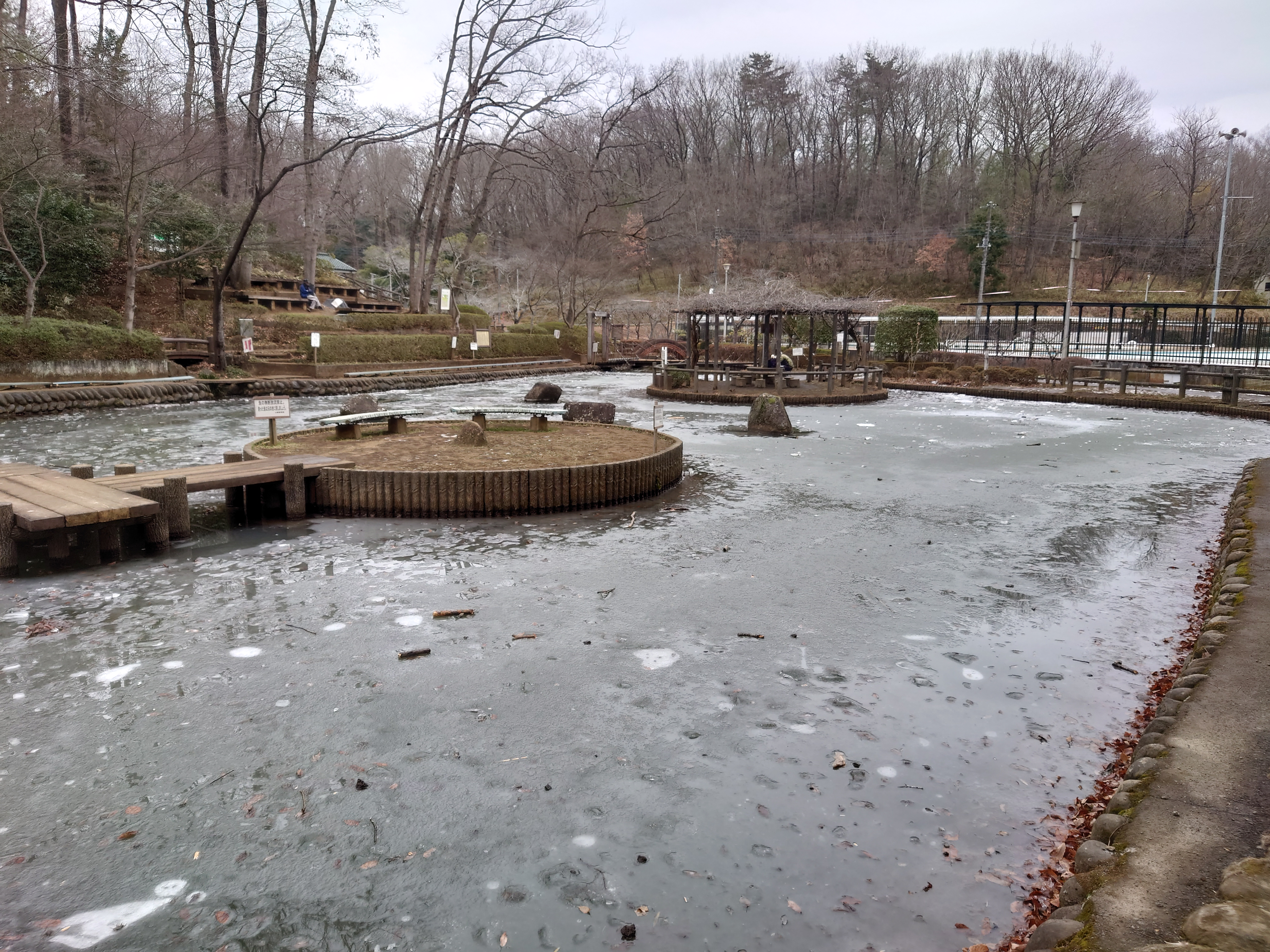 お伊勢山 愛宕山 六道山 谷津仙元富士 狭山富士 猫ポンさんの六道山 多摩湖 狭山湖の活動データ Yamap ヤマップ