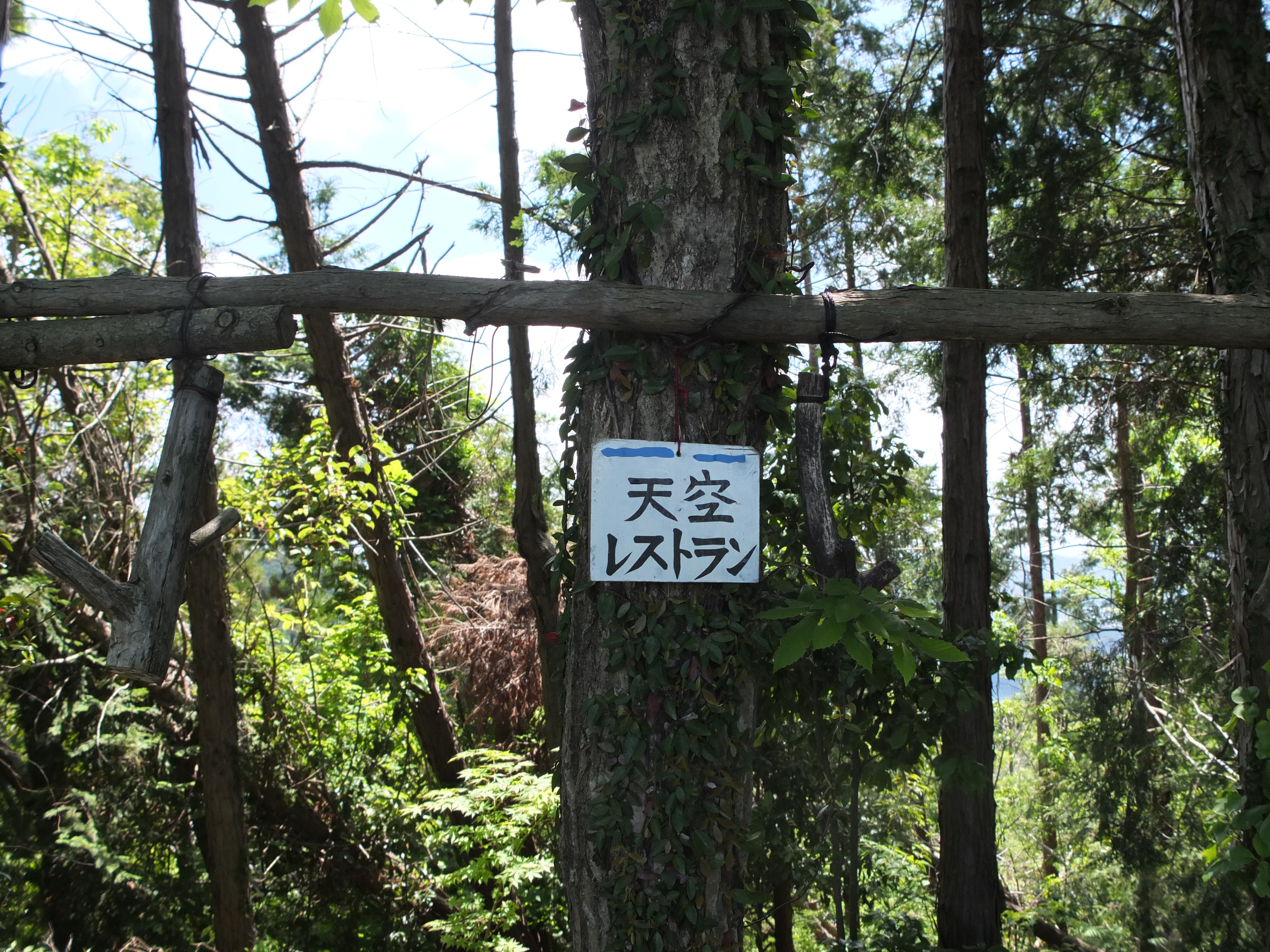 0511南高尾北面探索 入沢山北東尾根 中沢川左岸尾根 大垂水林道 案内川支流左岸経路 国道号 Hayakunさんの八王子市の活動データ Yamap ヤマップ
