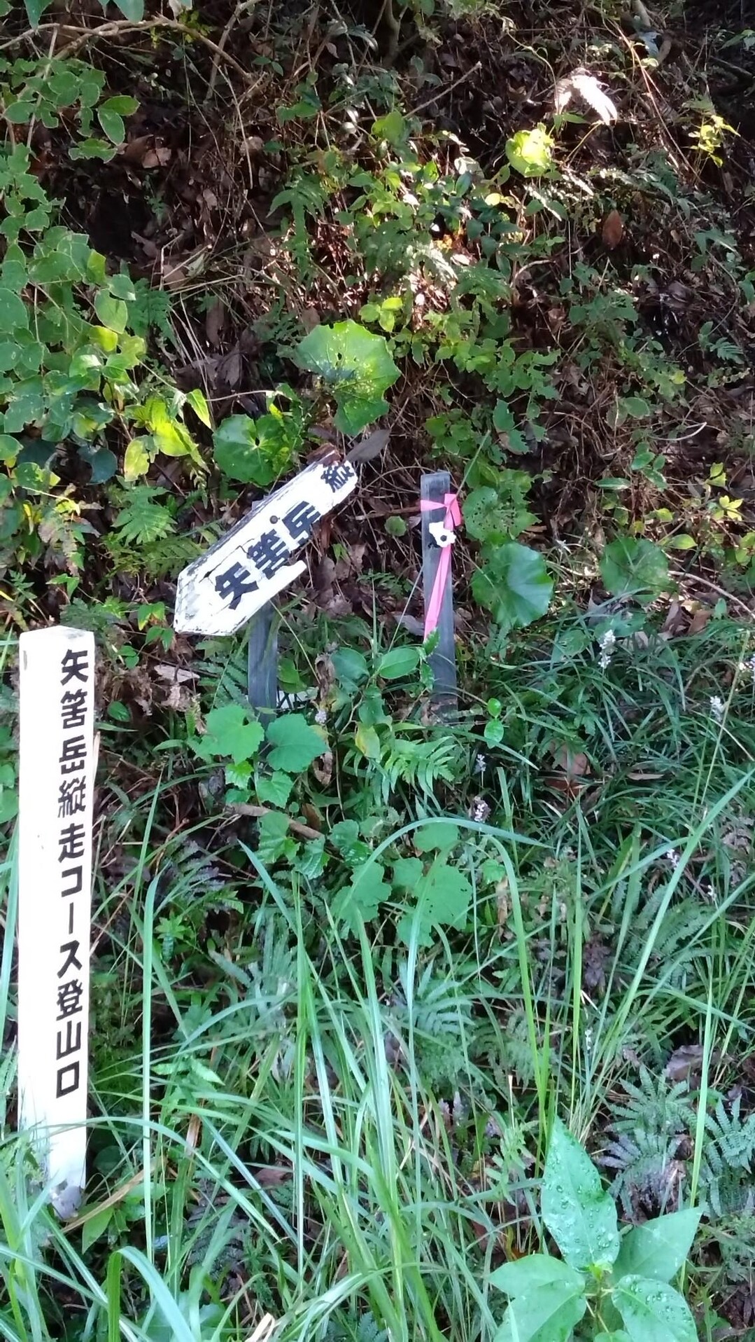 矢筈岳…初めての矢筈岳 ハイキング感覚で... / 浜さんさんのモーメント YAMAP / ヤマップ