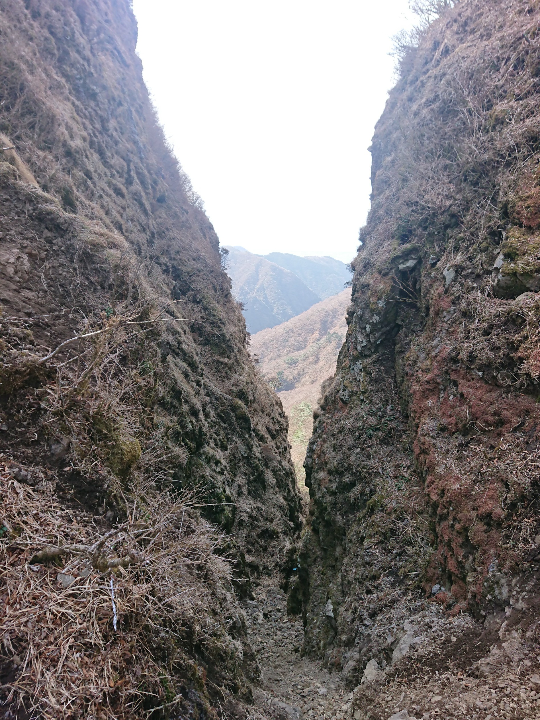 愛鷹山 鋸岳 縦走 03 22 野生のチワワさんの愛鷹山 大岳 黒岳の活動データ Yamap ヤマップ