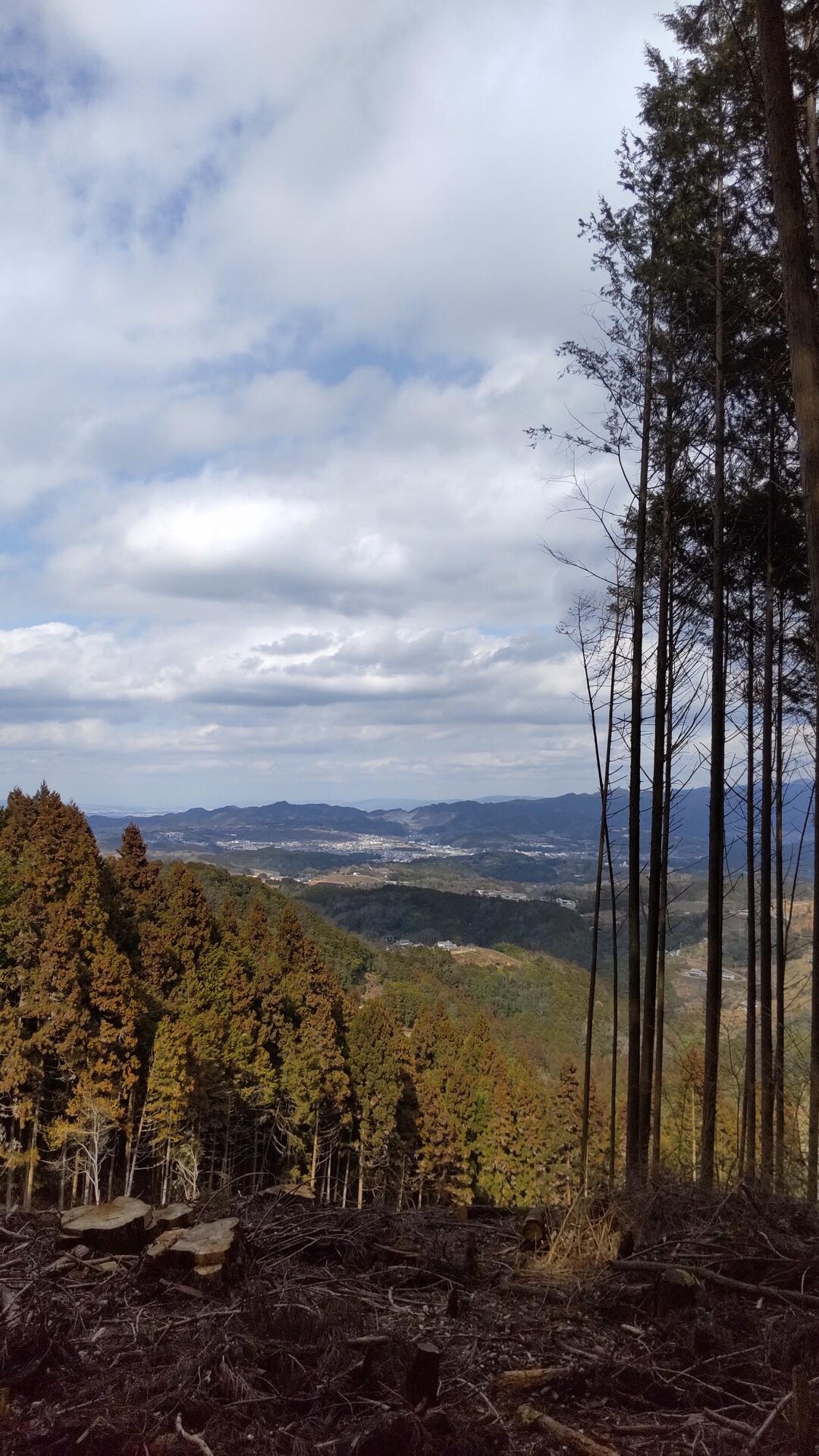 栃原岳 / イエティさんの栃原岳の活動データ YAMAP / ヤマップ