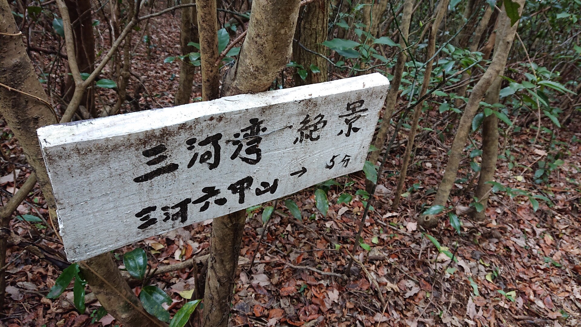 とぼね運動場 遠望峰山 桑谷山 きよさんの遠望峰山 桑谷山 聖山の活動日記 Yamap ヤマップ