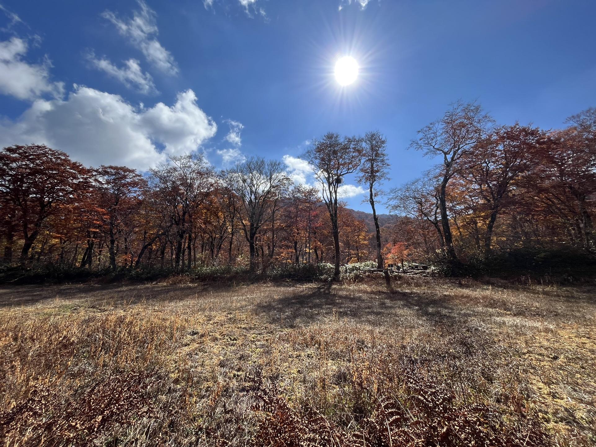 糠味噌じゃなかった、籾糠山！ / 黒点さんの籾糠山の活動データ YAMAP / ヤマップ