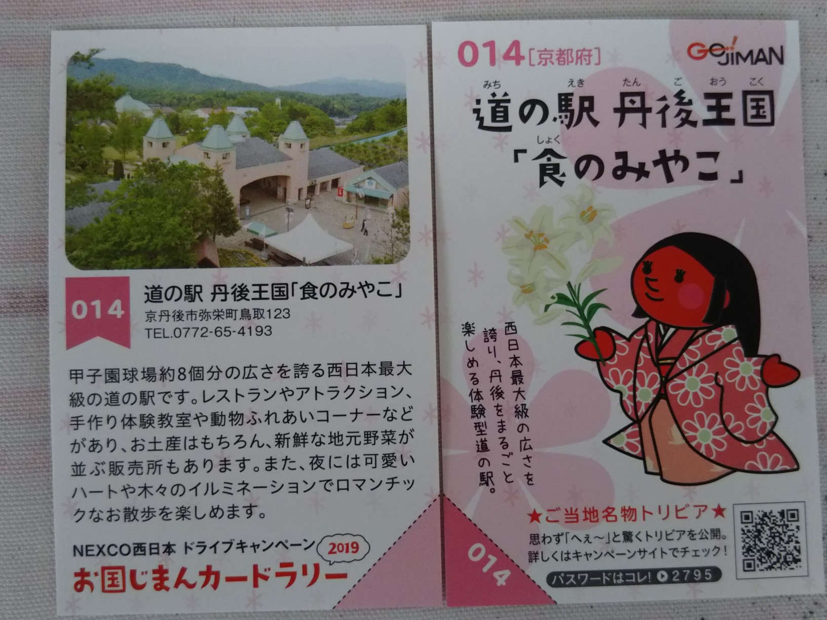長い散歩 丹後王国 19 09 22 音子にゃんさんの鼓ヶ岳の活動データ Yamap ヤマップ