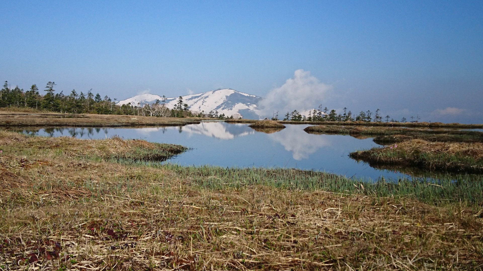 天上の楽園から高層の楽園を縦走周回 尾瀬 ふくやまさんの尾瀬 燧ヶ岳の活動日記 Yamap ヤマップ