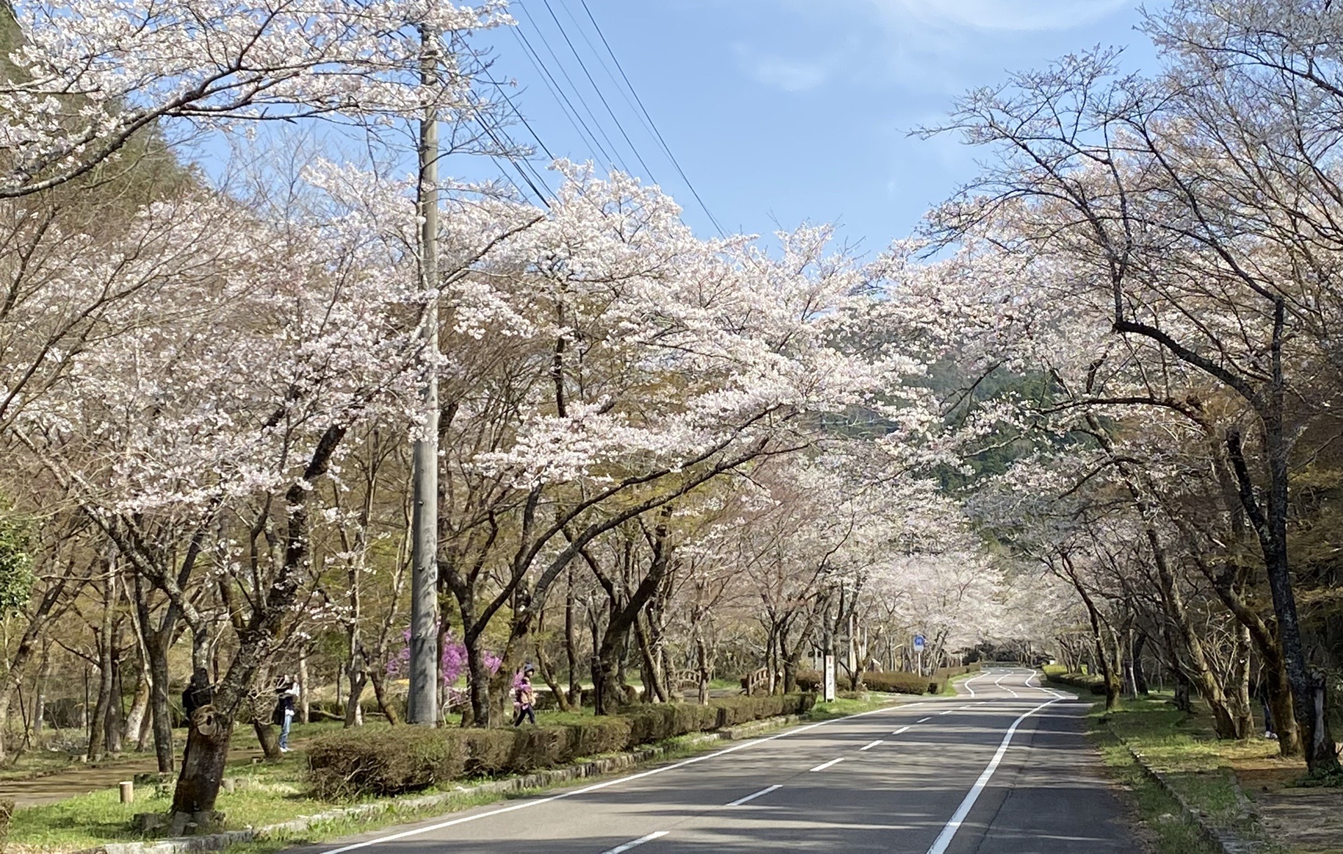 岐阜県関市武芸川町の北部 寺尾峠と寺尾 ペチカさんのモーメント Yamap ヤマップ