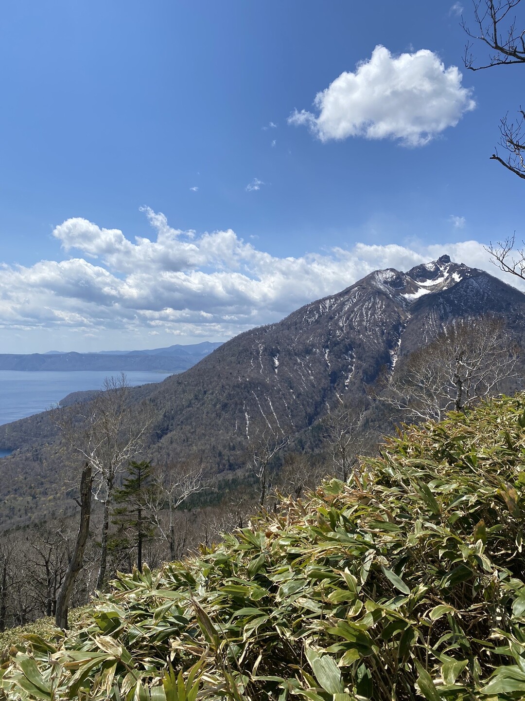 イチャンコッペ山 幌平山 イチャンコッペ山の写真15枚目 恵庭岳の絶好ポイントですね かなり近く見 Yamap ヤマップ