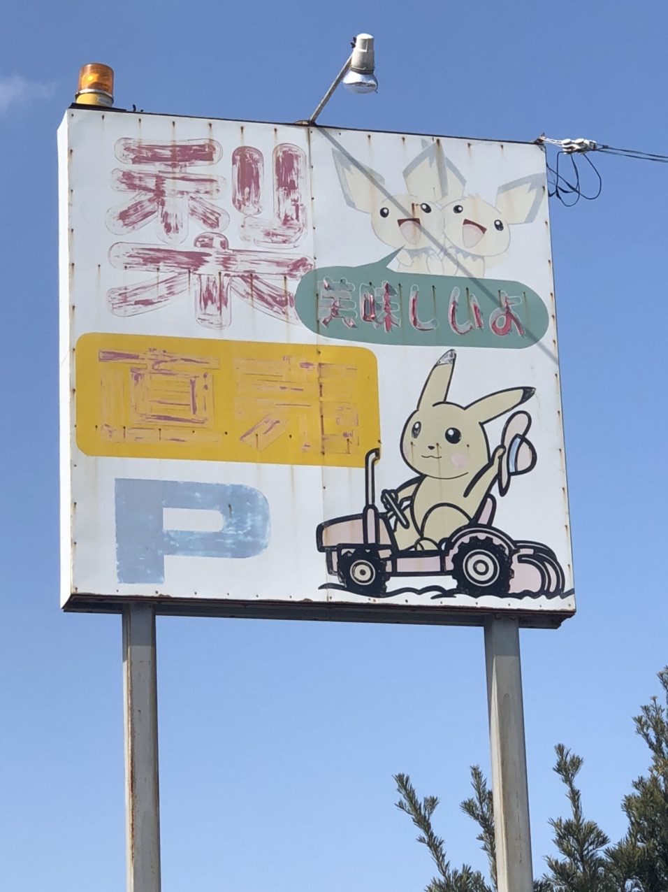 三ヶ根山最高点 三ヶ根山 カテリーニャしらきさんの三ヶ根山の活動日記 Yamap ヤマップ