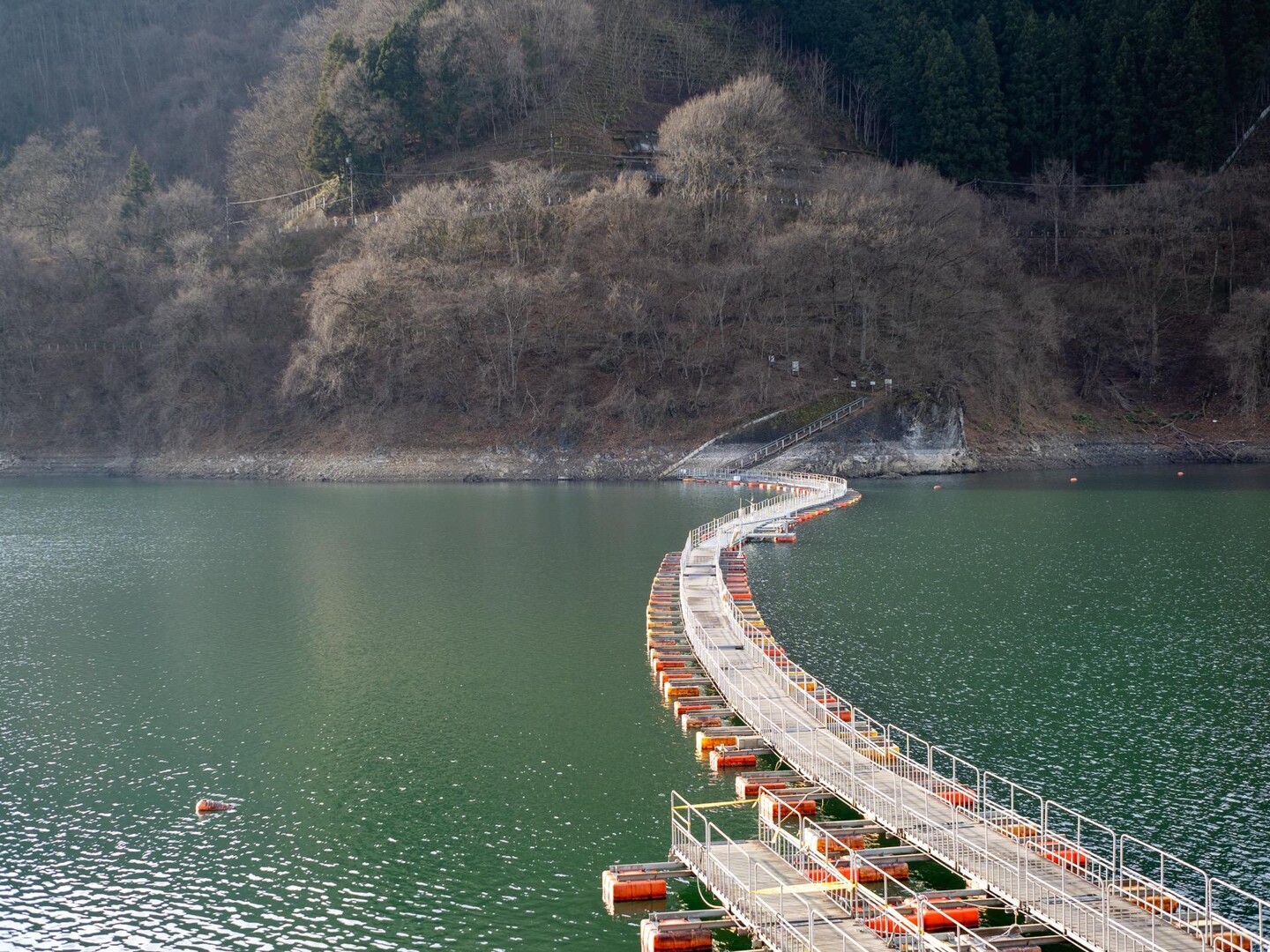 浮き橋から!イヨ山・ヌカザス山・入小沢ノ峰・三頭山（西峰）・三頭山（中央峰）・三頭山（東峰） / youichiさんの三頭山・槇寄山・土俵岳の ...