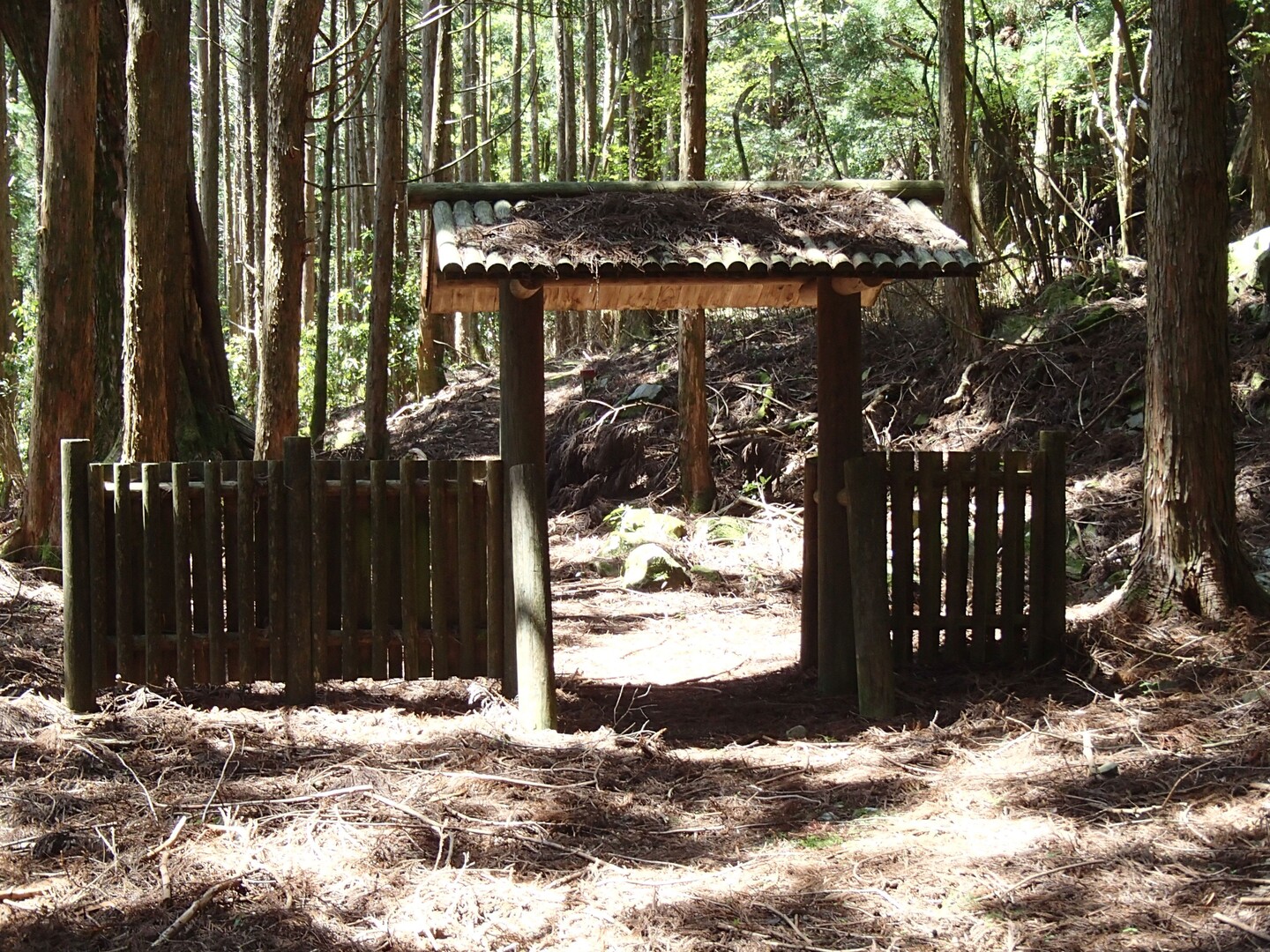 野根山街道 / たけやんさんの四国遍路その4の活動データ YAMAP / ヤマップ