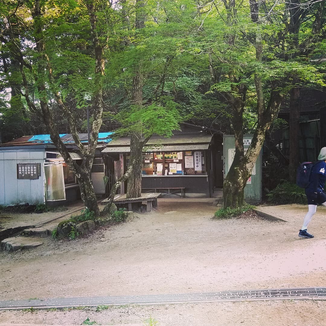 教えて下さい 今週末 金剛山晴れますか イヅッティさんのモーメント Yamap ヤマップ