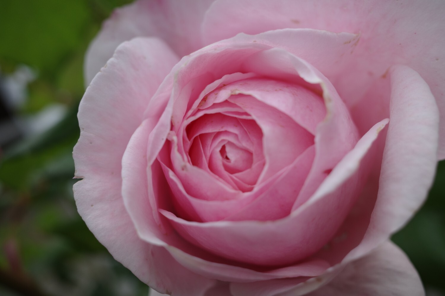 Guerlain の名香 Nahema Marbleさんのモーメント Yamap ヤマップ