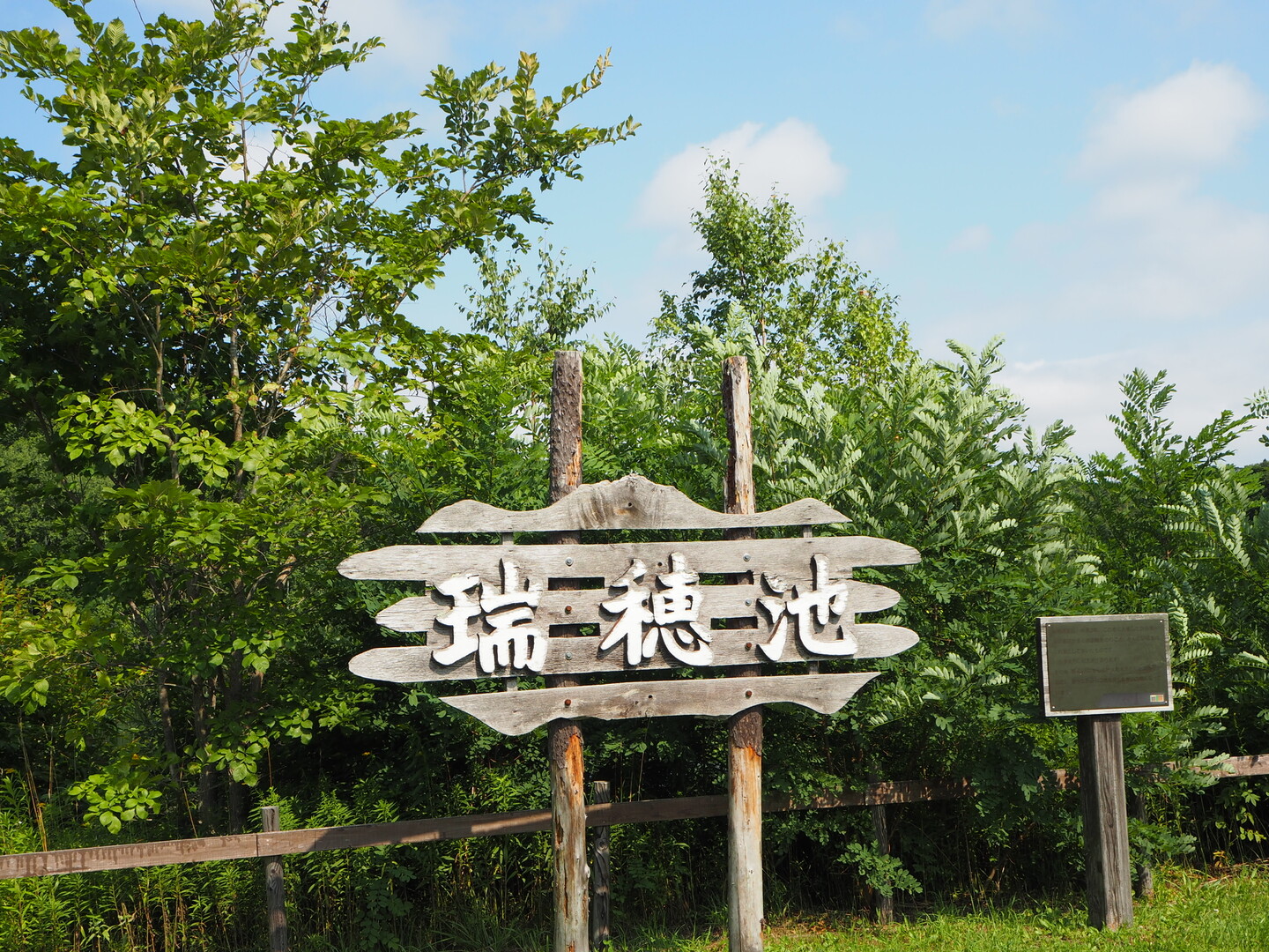 野幌森林公園 夏の花ハイキング 連れ Pon 夫 連れ 妻 さんの札幌市の活動日記 Yamap ヤマップ