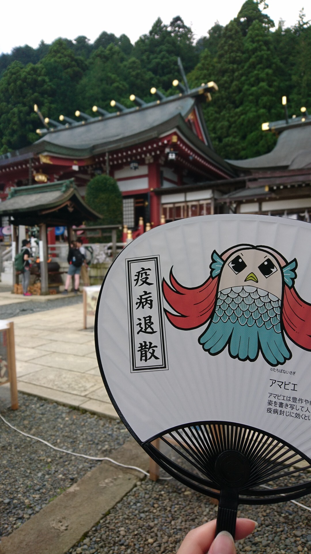 大山散歩 なゆこさんの大山 神奈川県 の活動データ Yamap ヤマップ