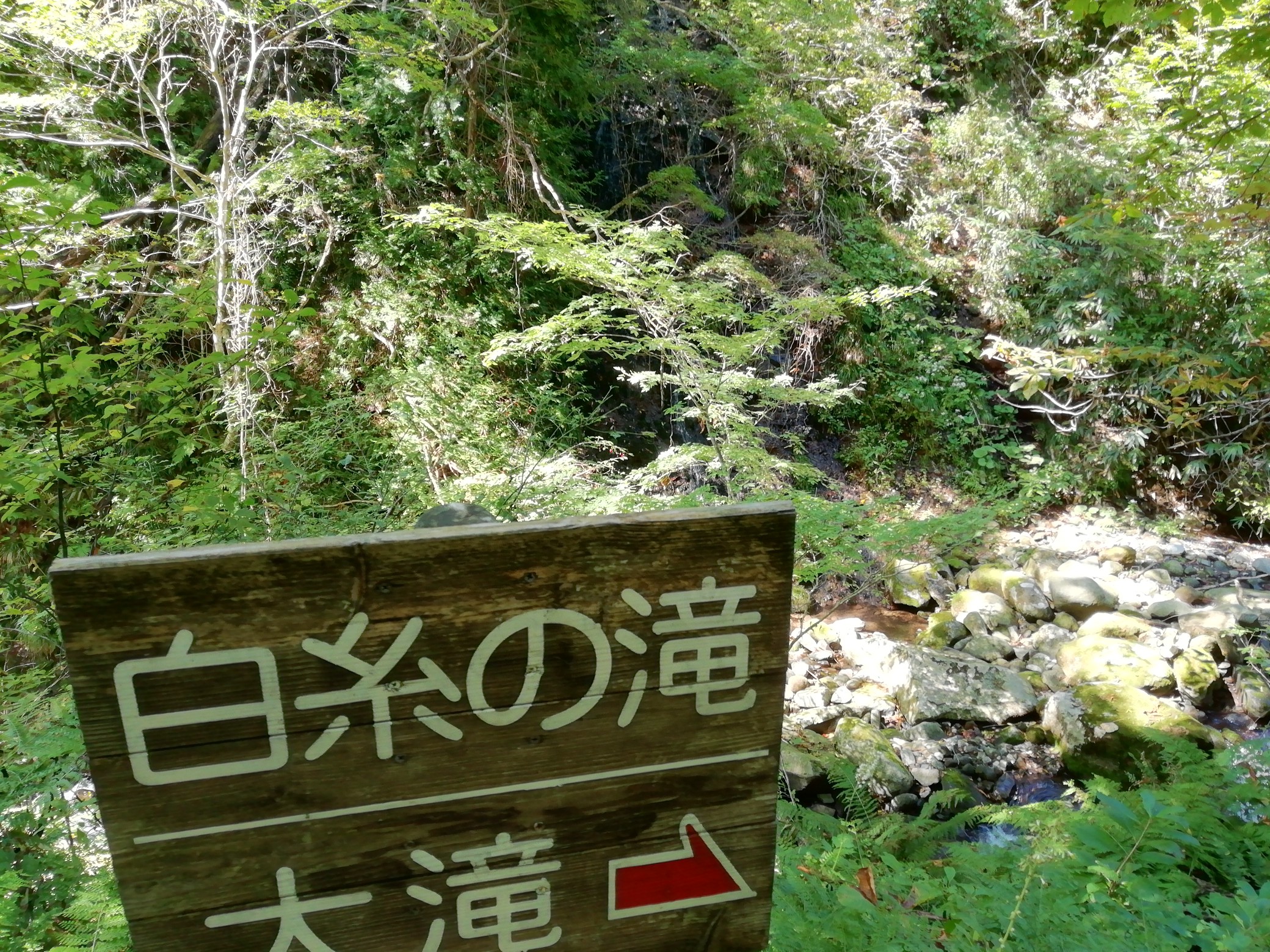 高瀬峡散策 遊佐町 21 09 25 ムサシさんの遊佐町の活動データ Yamap ヤマップ