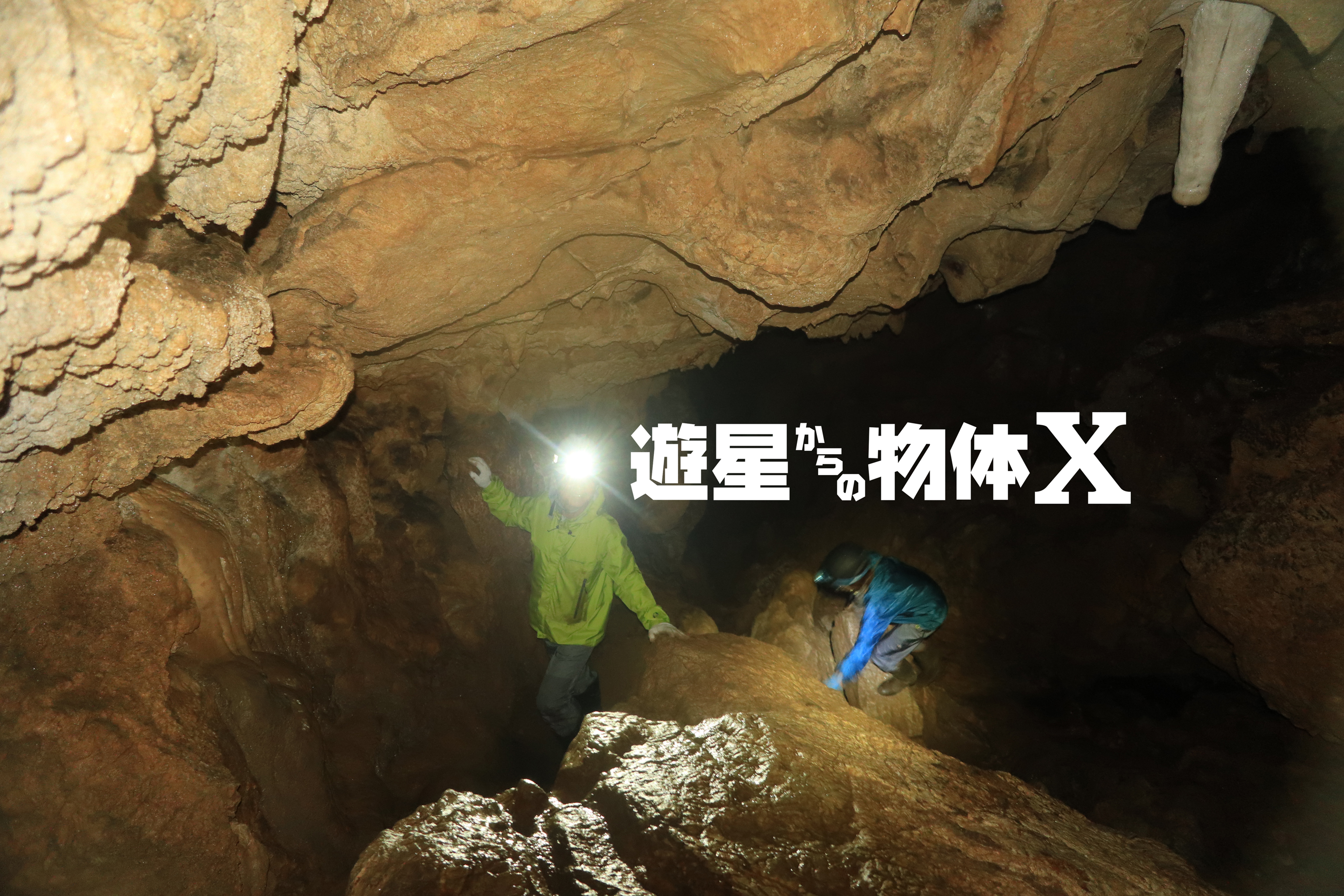 龍が如く 龍河洞冒険コース ソーヤさんの香美市の活動データ Yamap ヤマップ