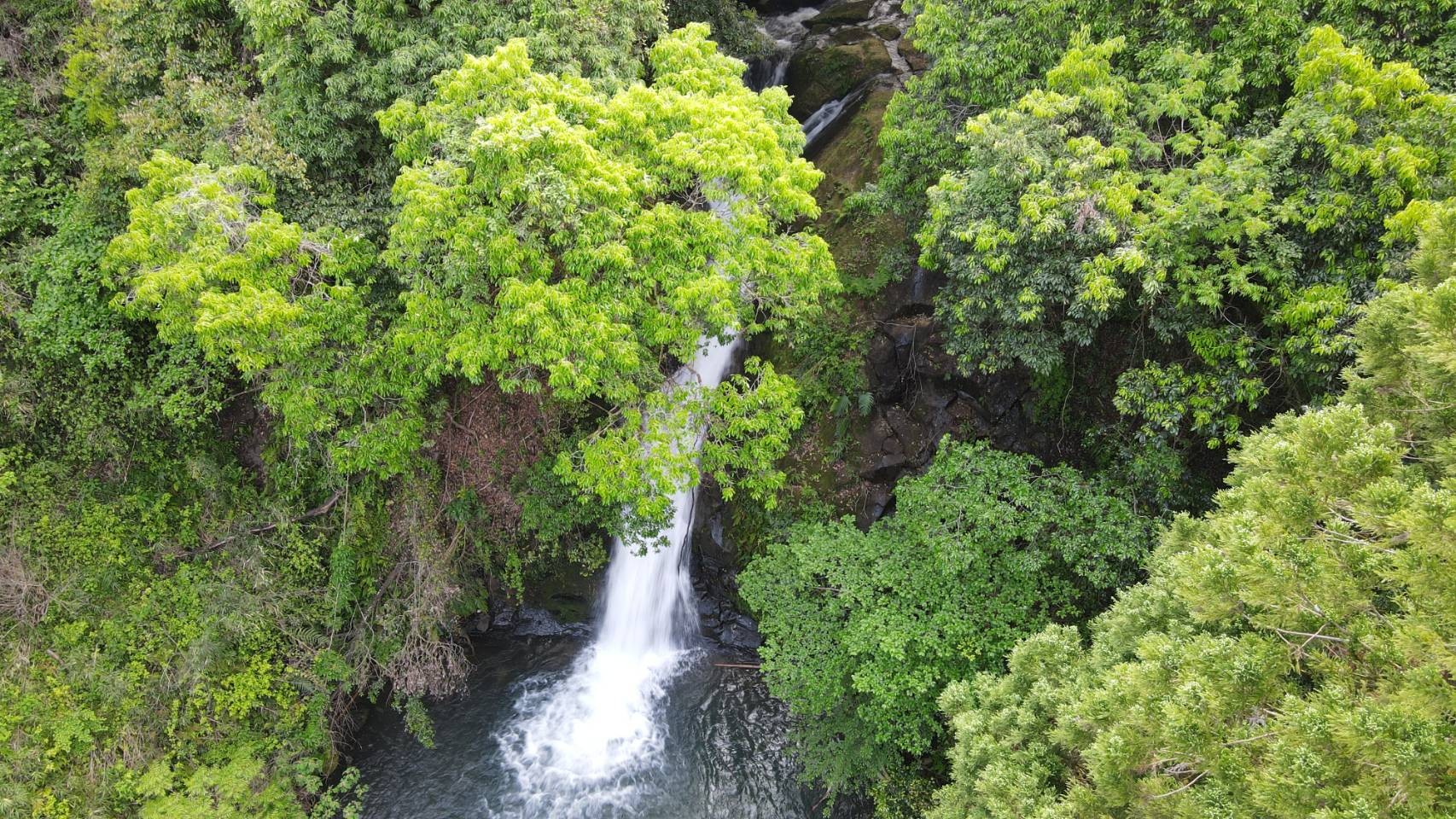 伊良ヶ谷の滝 リベンジならず 今日 しんさんのモーメント Yamap ヤマップ