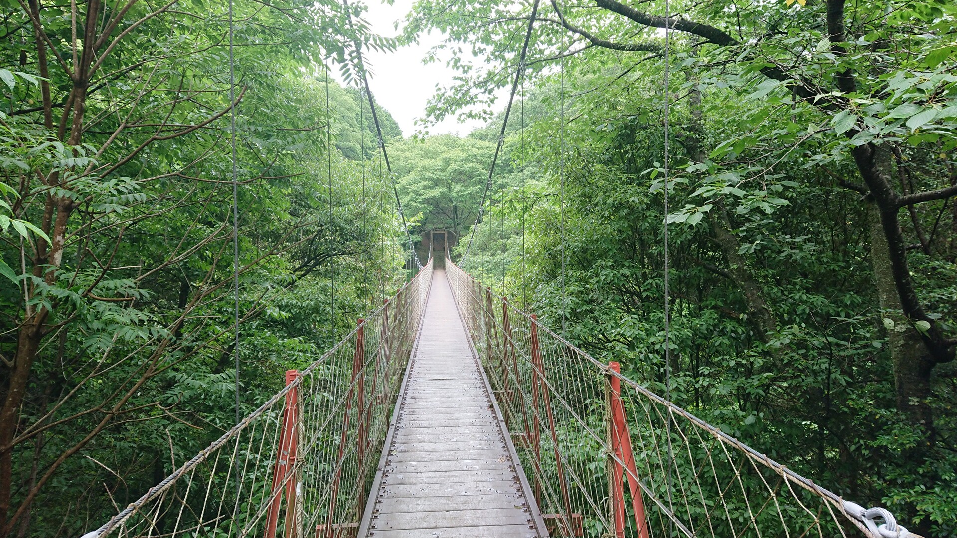 駿河平自然公園 / teTakeさんのウォーキングの活動データ YAMAP / ヤマップ