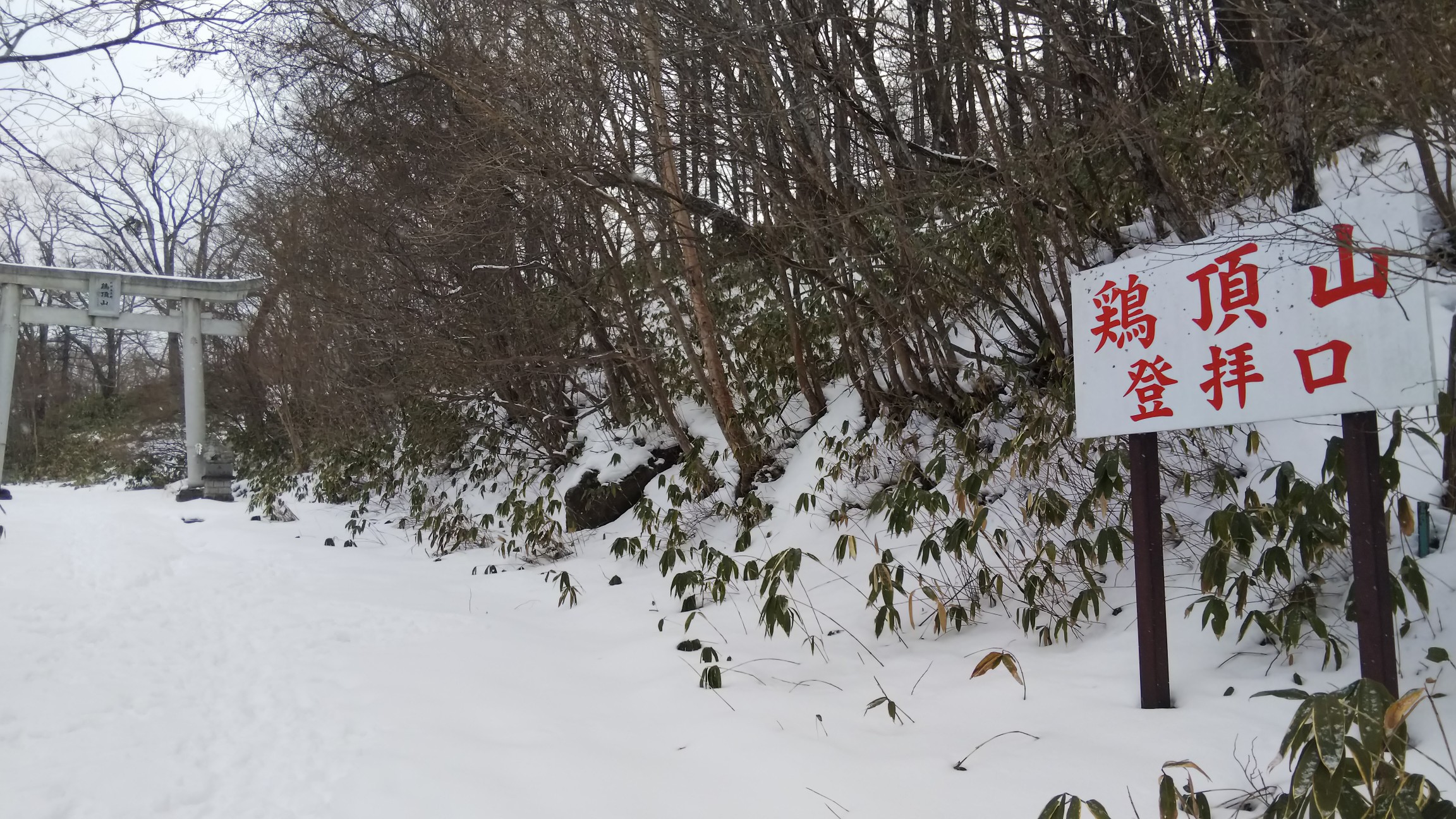 今年は雪不足～ただし、ここは結構雪がありました