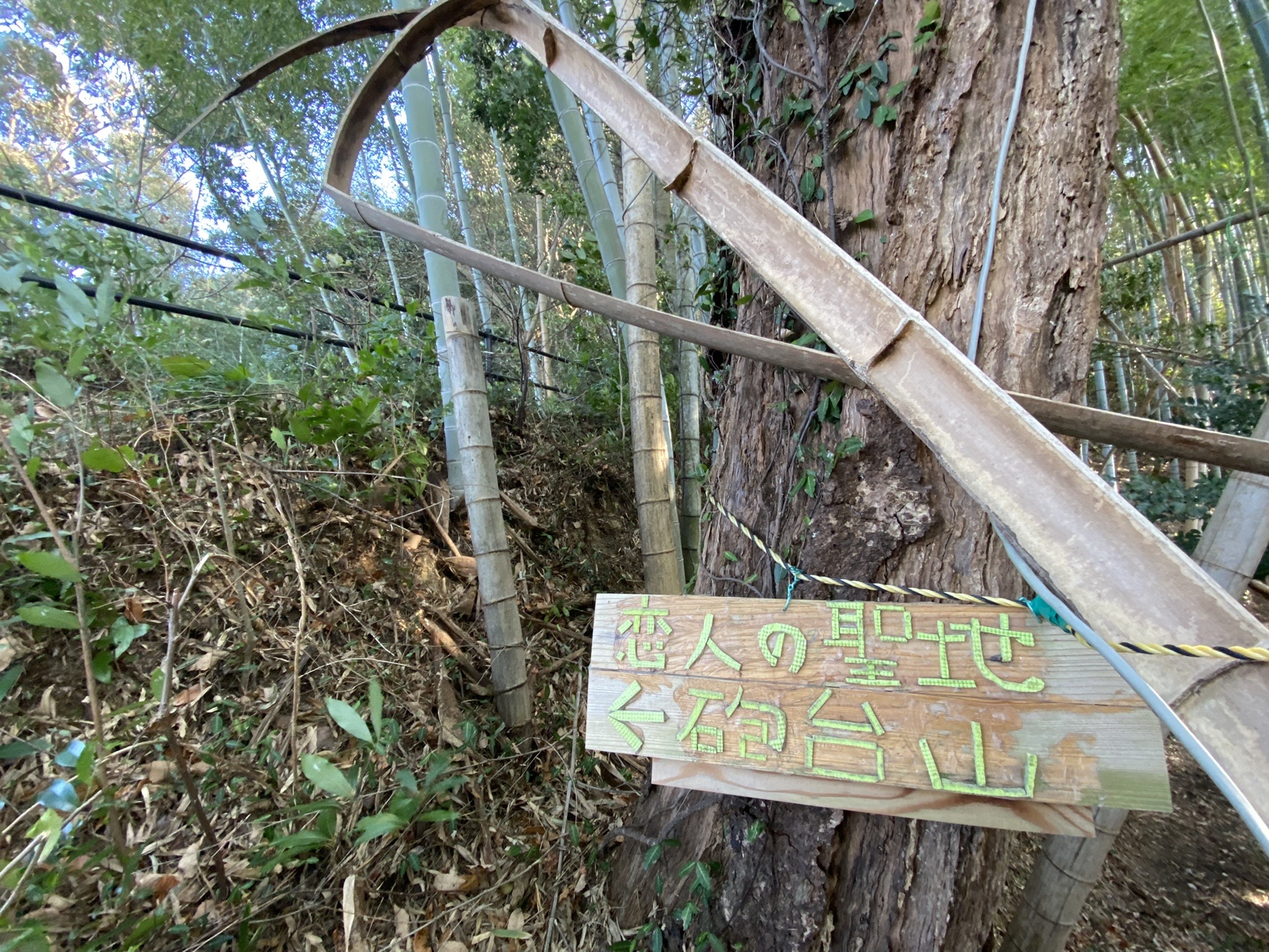 干支のお山 虎尾山へ Chiiiyanさんの伊勢市の活動日記 Yamap ヤマップ