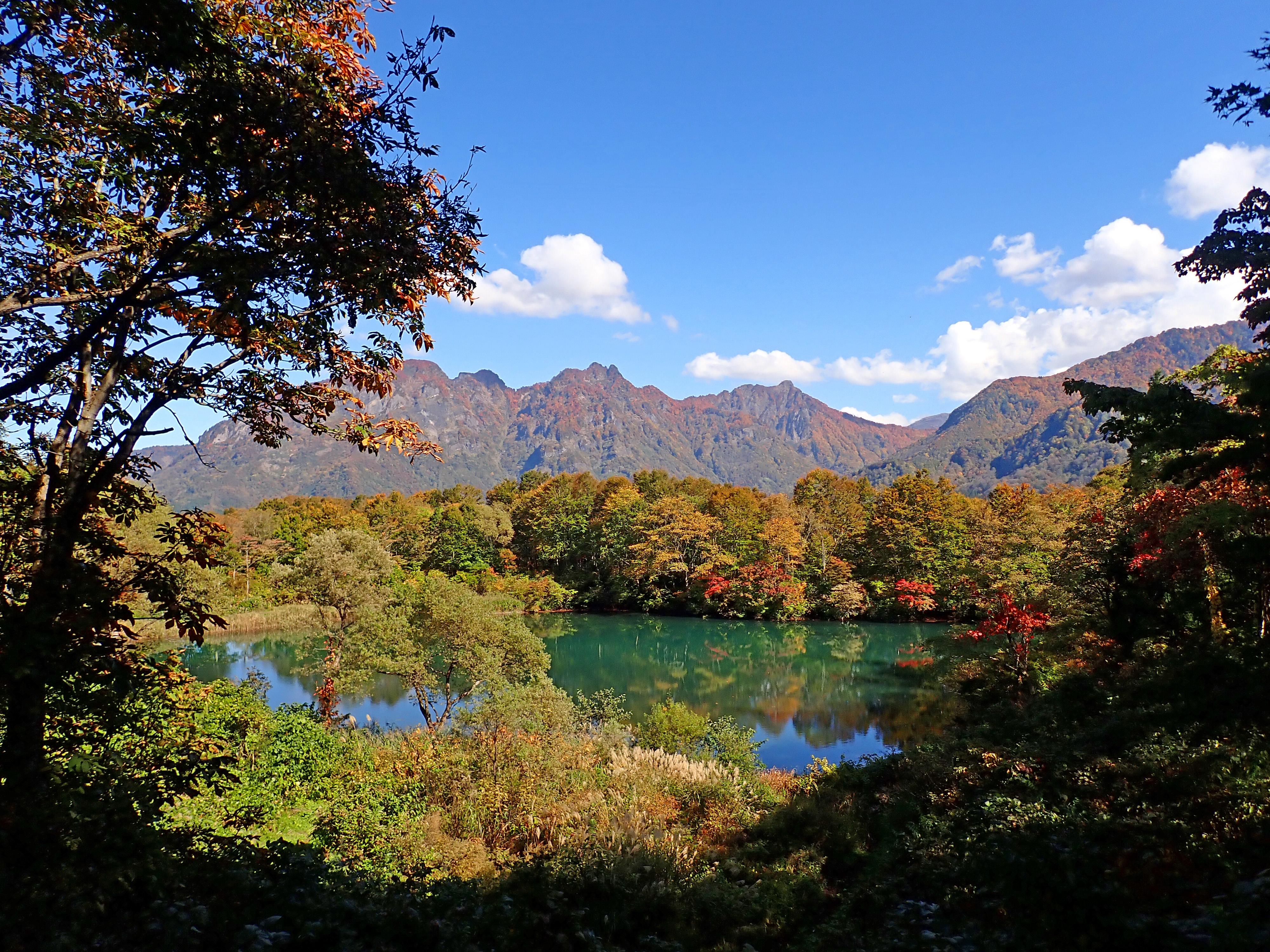 戸倉山 / Haktさんの雨飾山・大渚山・天狗原山・戸倉山の活動データ YAMAP / ヤマップ