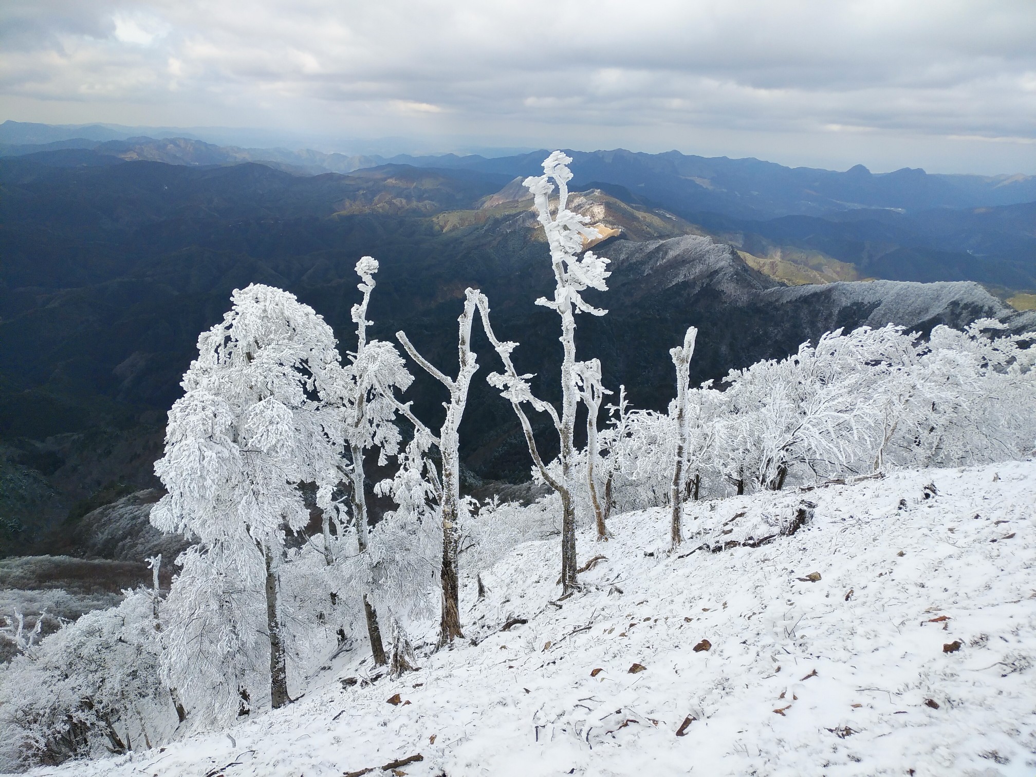 高見登山口 山頂 平野バス停 周遊コースの地図 登山ルート 登山口情報 Yamap ヤマップ