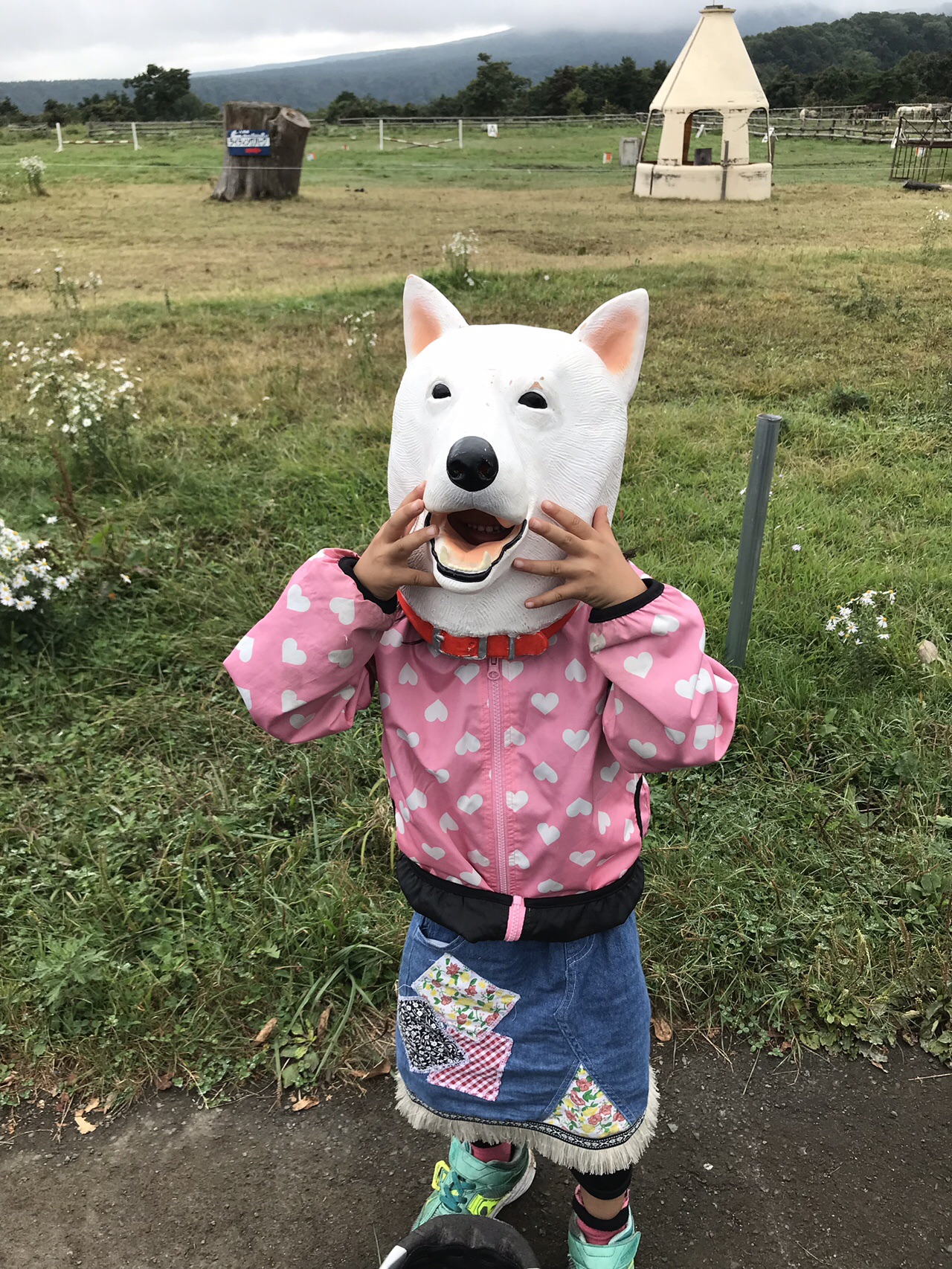 八甲田は天気がハッピー過ぎましたw うさきちさんの八甲田山 高田大岳 雛岳の活動データ Yamap ヤマップ
