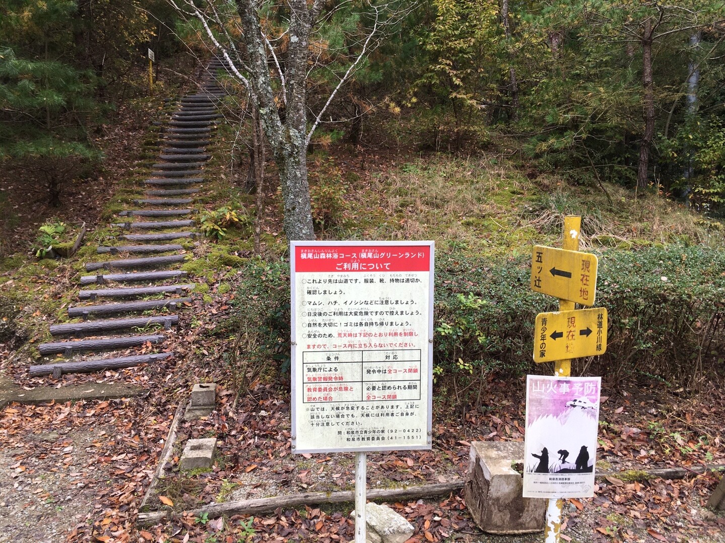 100メーターの長 い滑り台 和泉市立青少年の家 槇尾山グリーンランドの口コミ By 気まぐれアラフォーパパ さん 子供とお出かけ情報 いこーよ