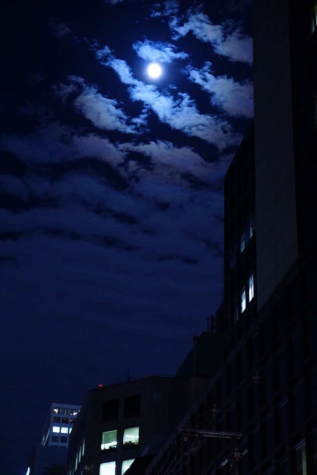 満月の夜に梅田から難波まで散歩 19 11 12 ゴンさんの大阪市の活動データ Yamap ヤマップ