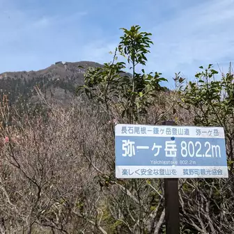 鎌からの下山でピークゲット👏
弥一ヶ岳802.2ｍ🏔