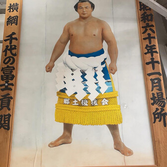 スギ