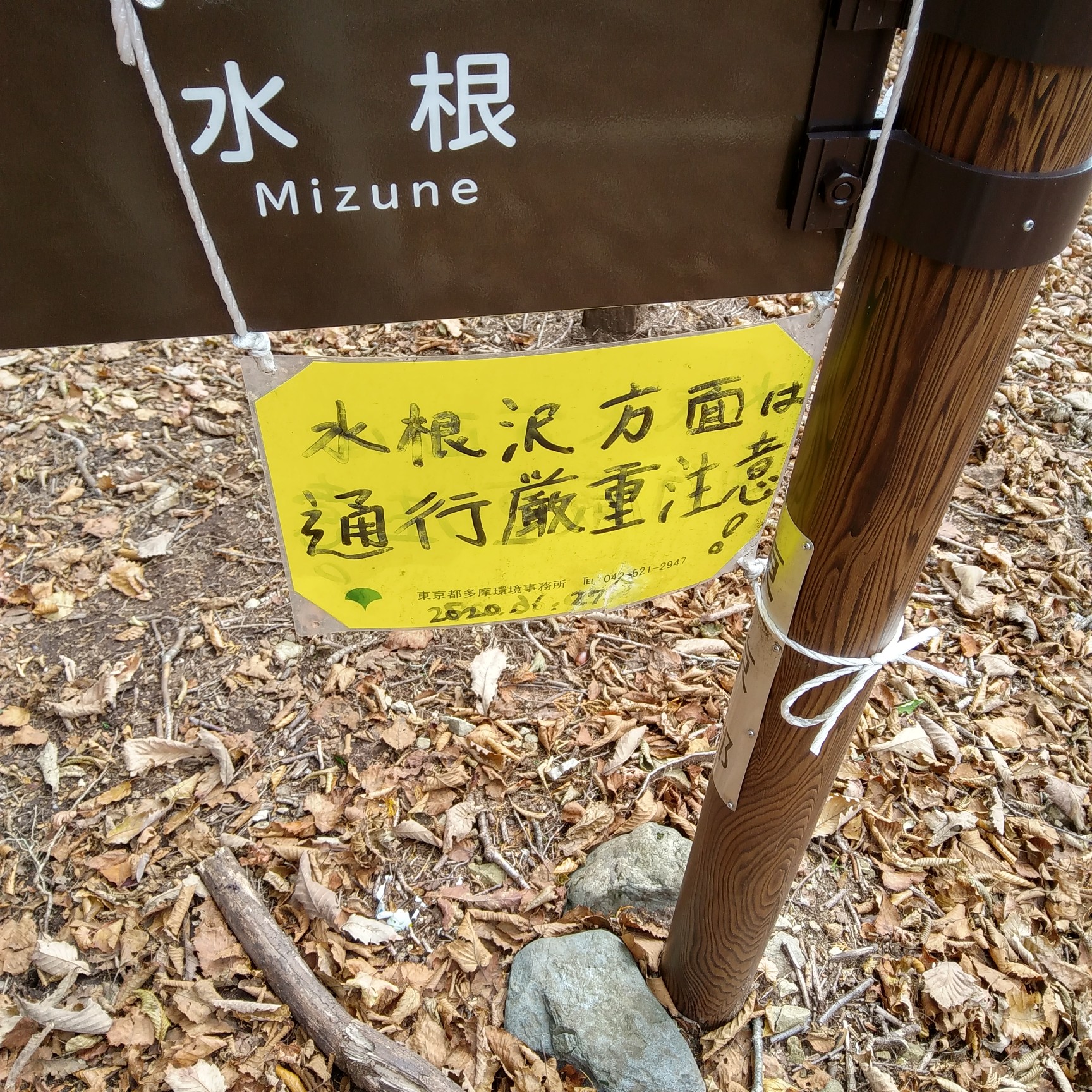 鷹ノ巣山 倉戸口から登って 水根へ下る あ ちんさんの雲取山 鷹ノ巣山 七ツ石山の活動日記 Yamap ヤマップ